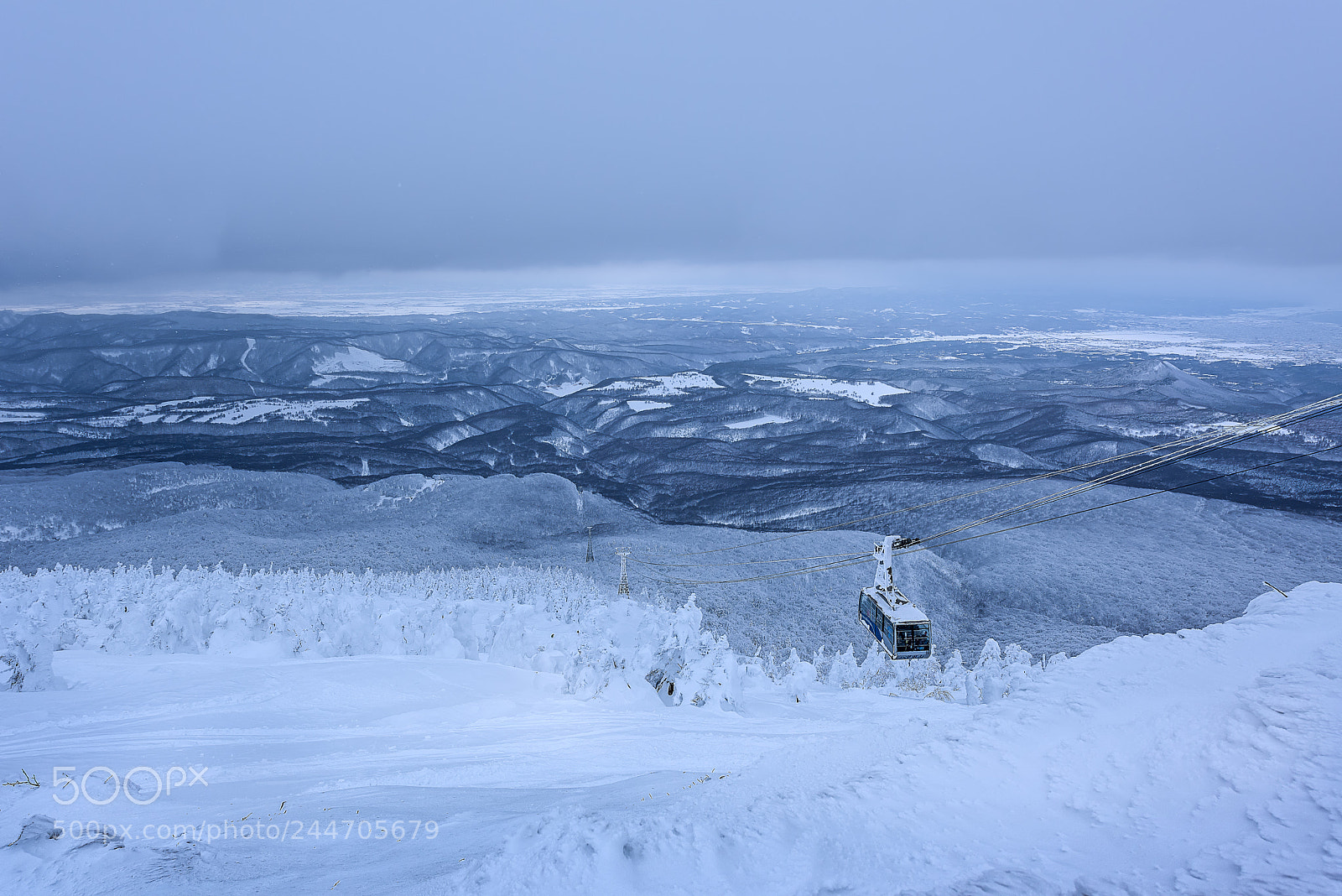 Nikon D810 sample photo. Snowy field photography