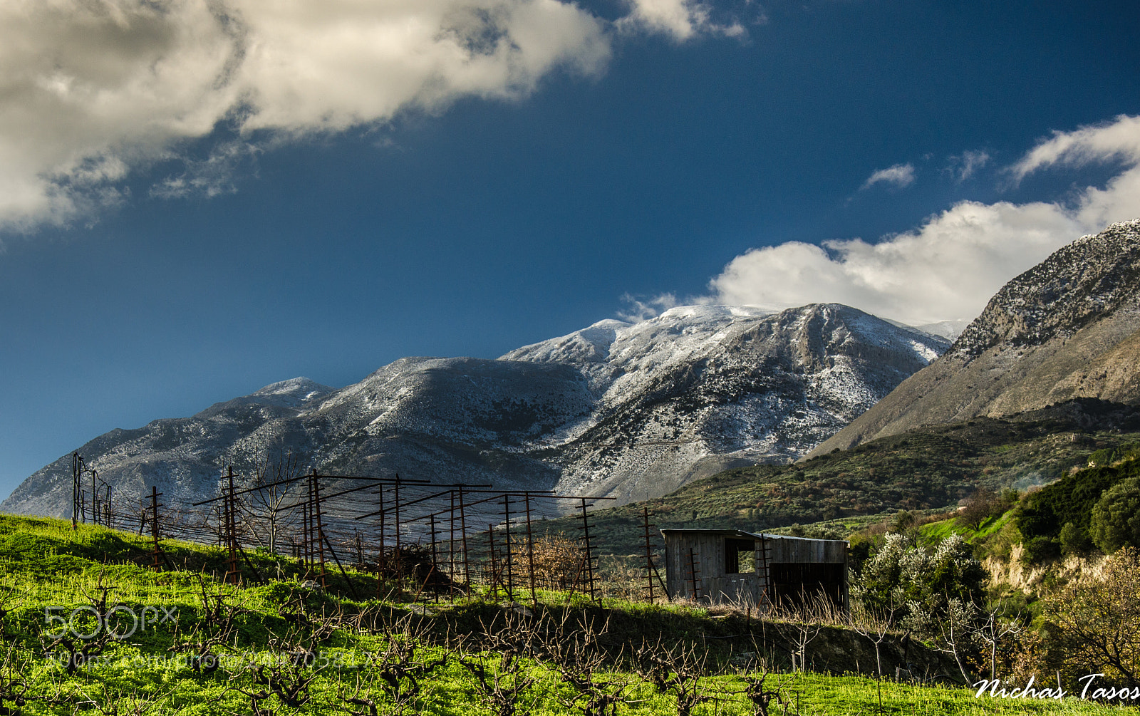 Nikon D5100 sample photo. The nature photography