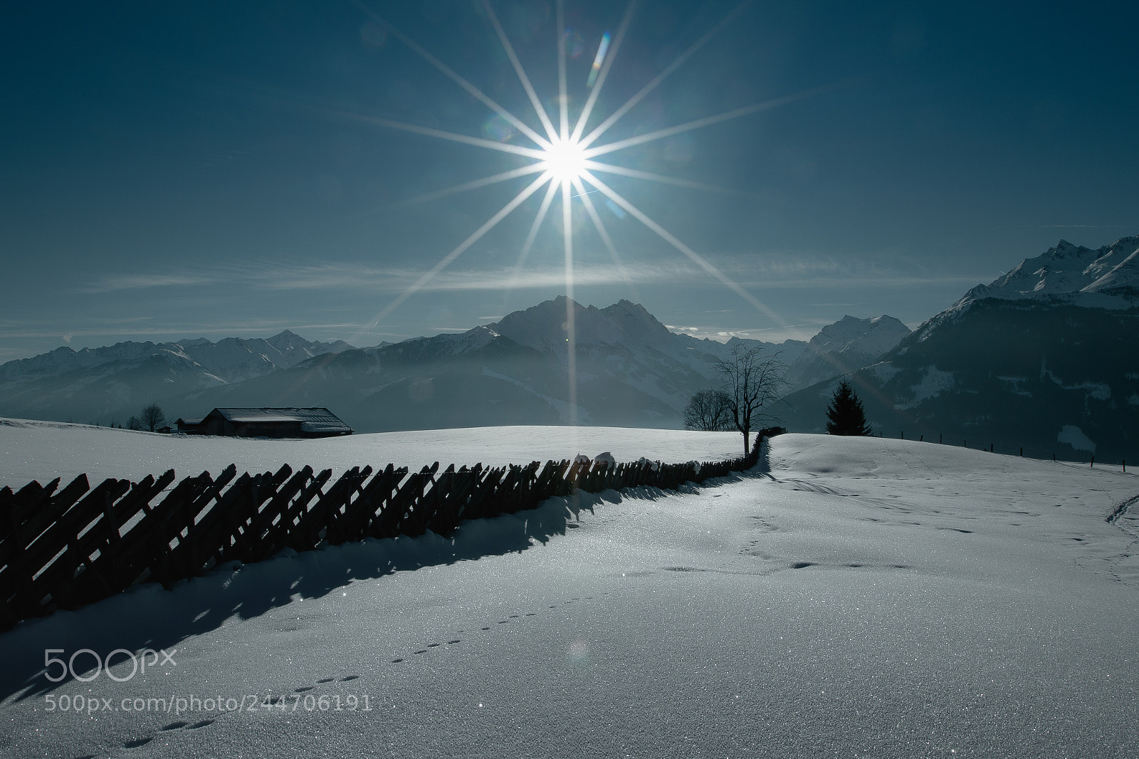 Canon EOS 7D Mark II sample photo. Pinzgauer zaun photography