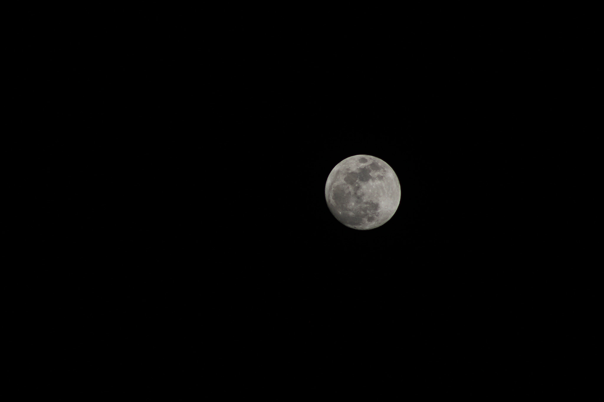 Canon EOS 600D (Rebel EOS T3i / EOS Kiss X5) + EF75-300mm f/4-5.6 sample photo. Super moon photography