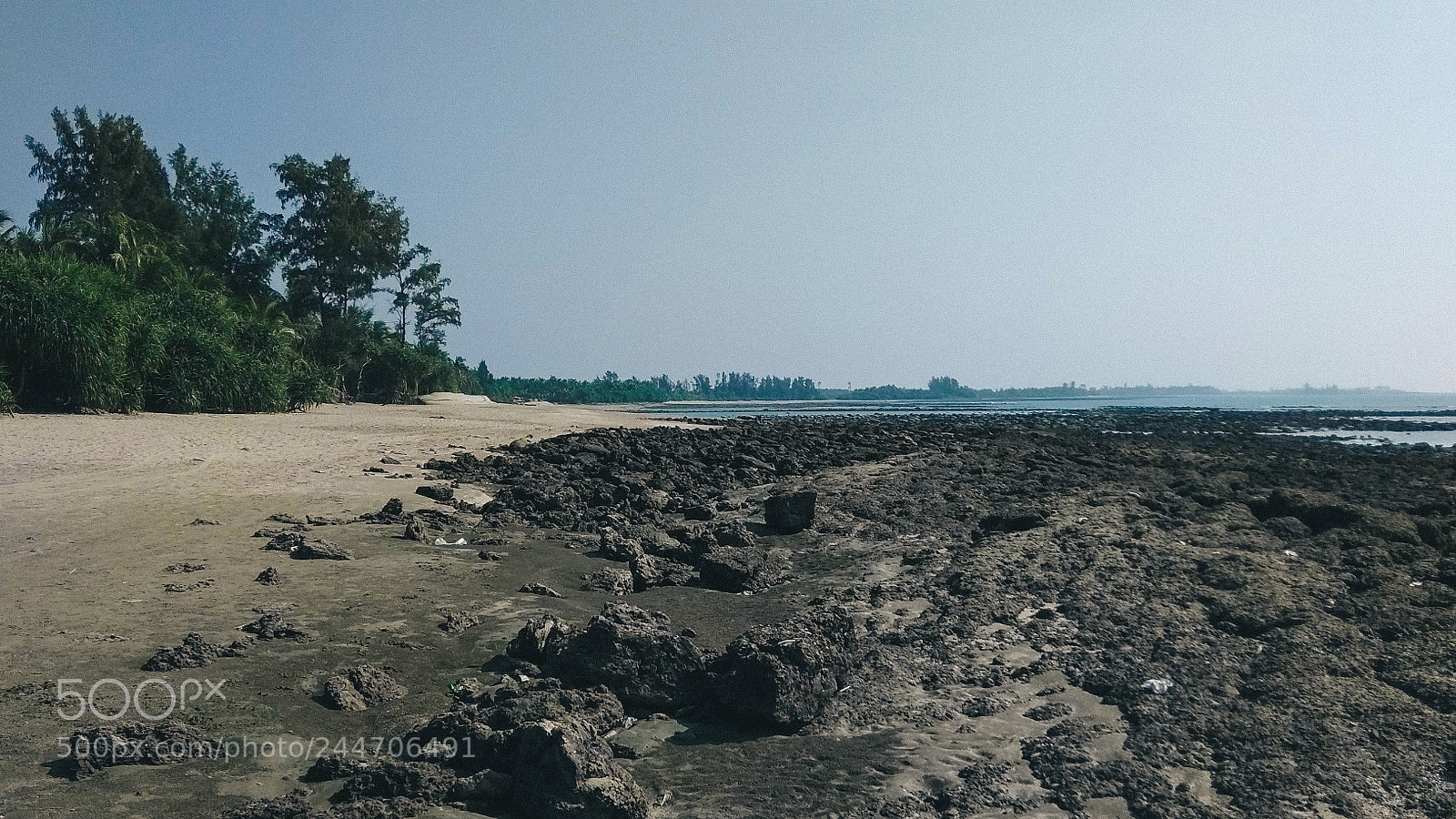 Xiaomi Redmi Note 5A sample photo. Coral and blue photography