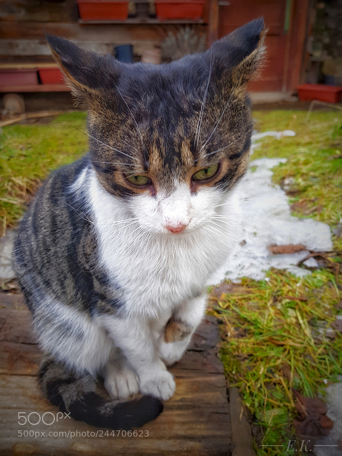 Samsung Galaxy S8 sample photo. Untitled photography