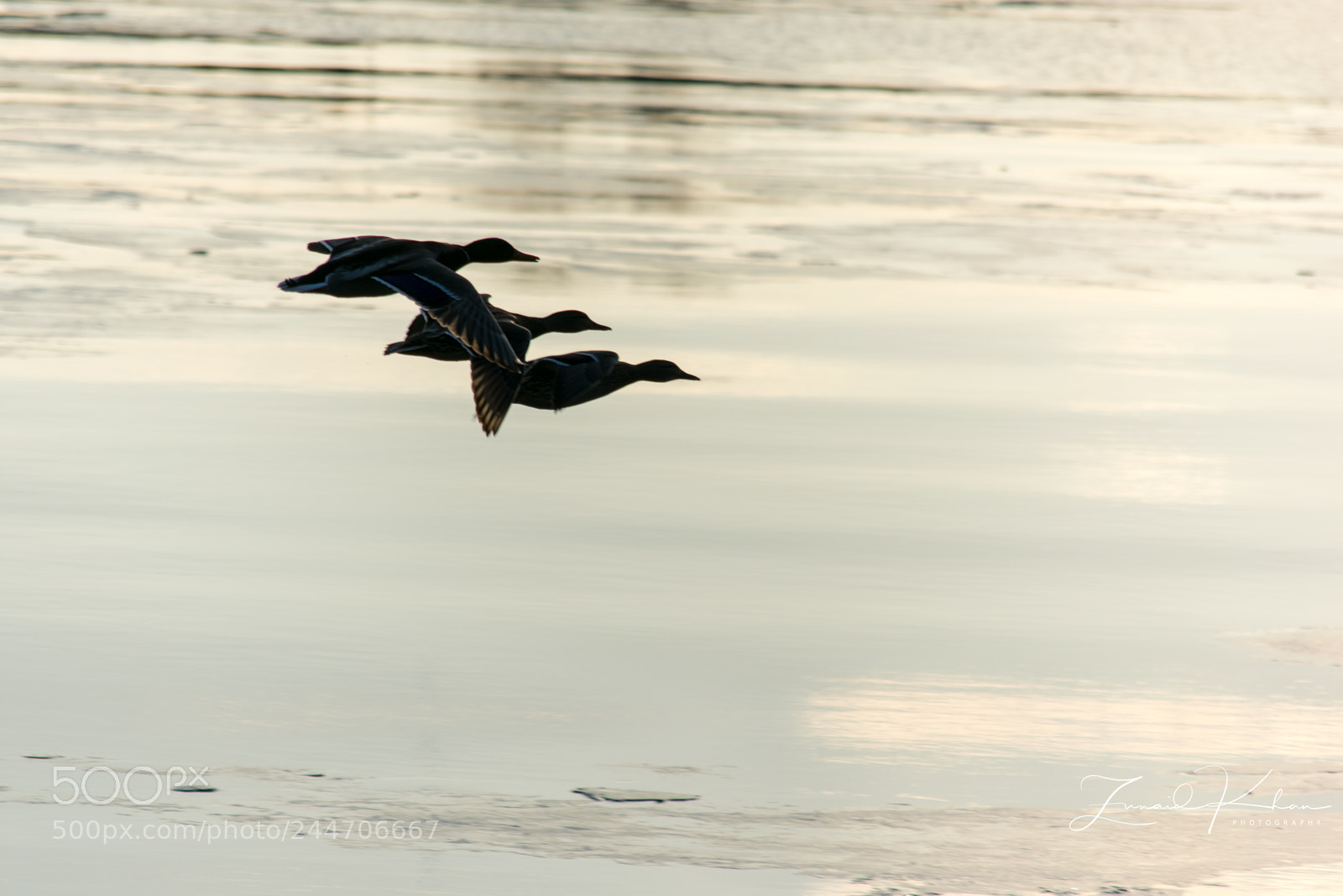 Nikon D3400 sample photo. Late afternoon formation photography
