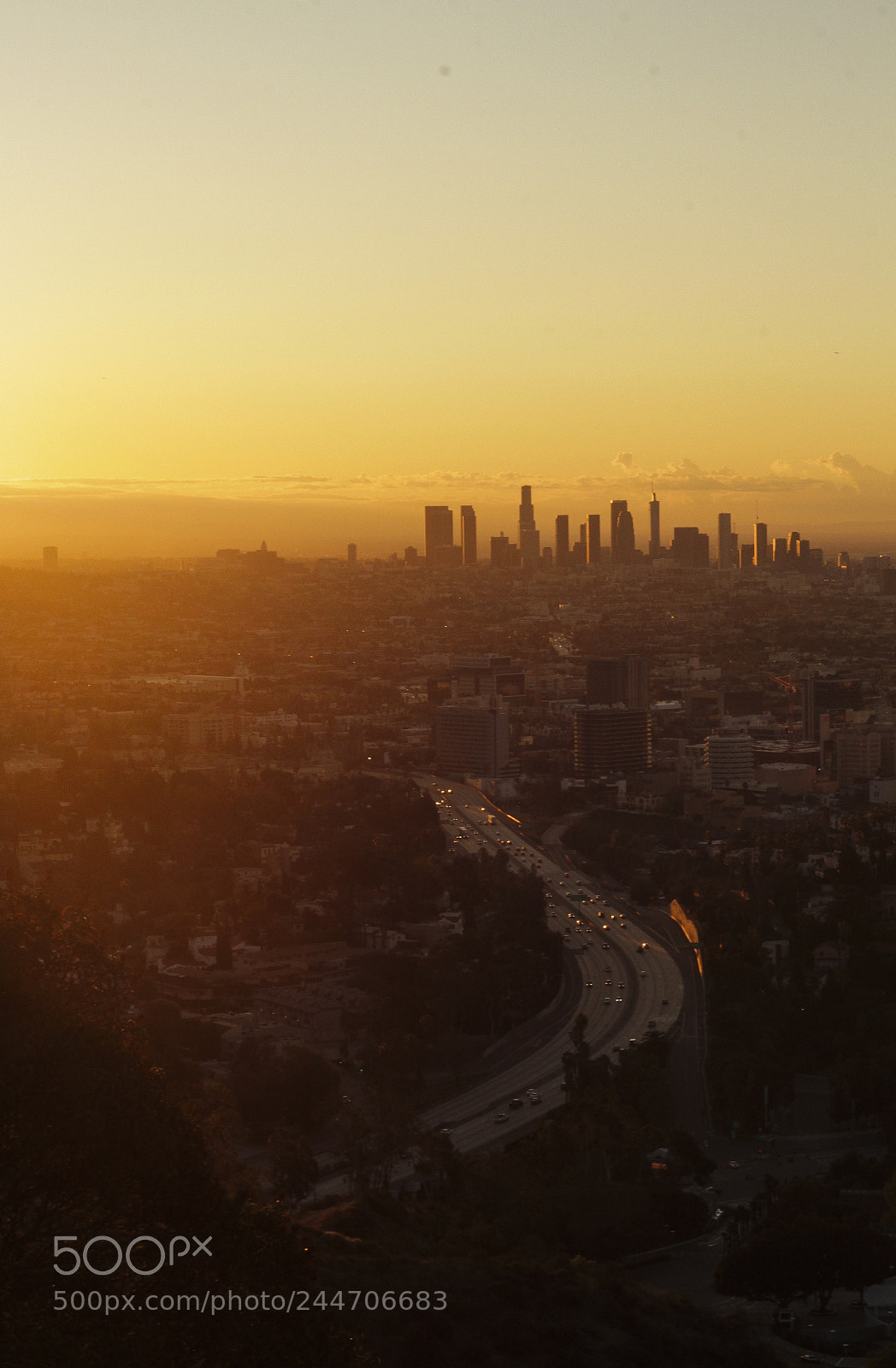 Canon EOS 60D sample photo. Early bird photography