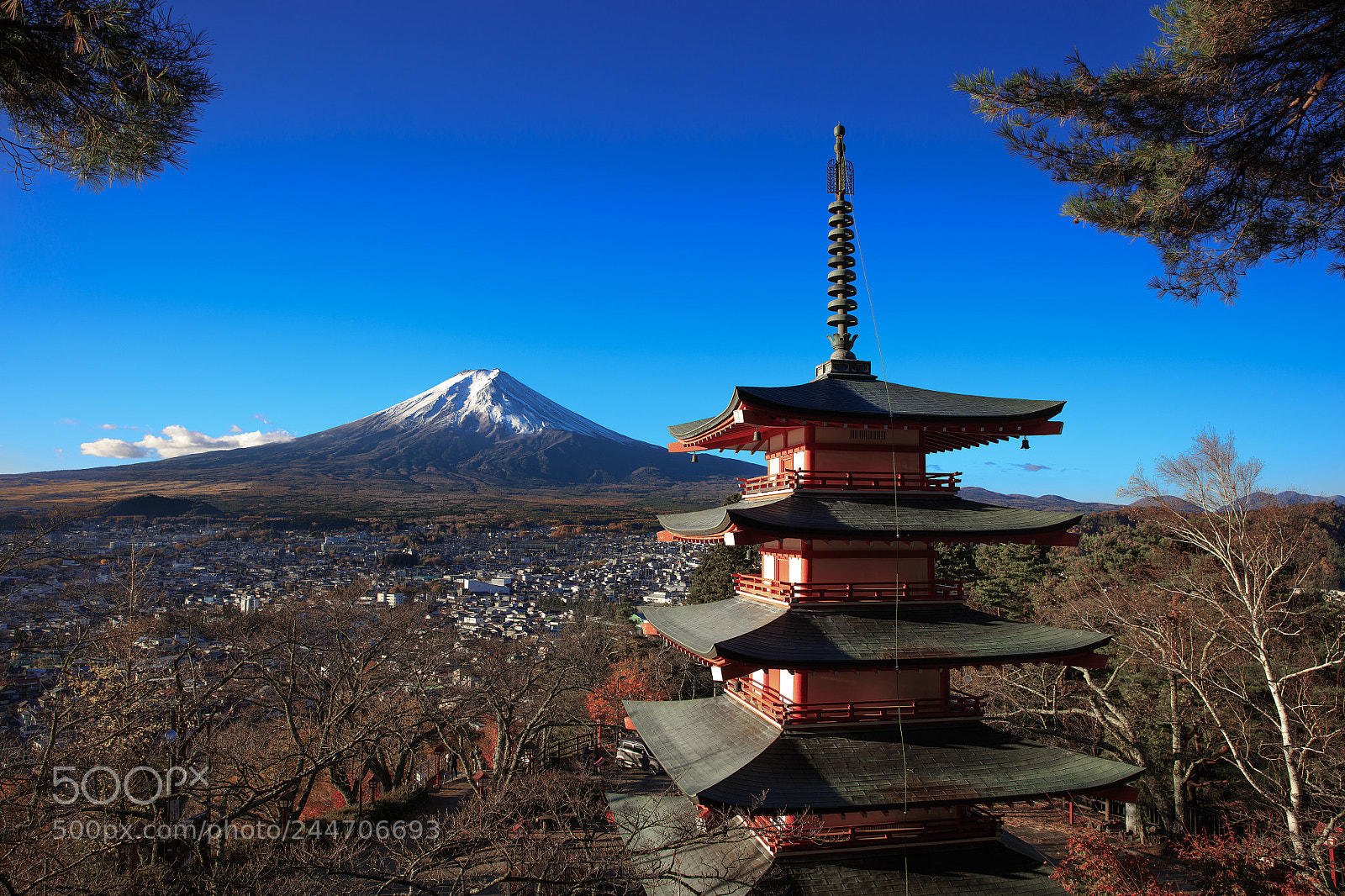 Canon EOS 5DS R sample photo. 新倉富士浅間神社 photography