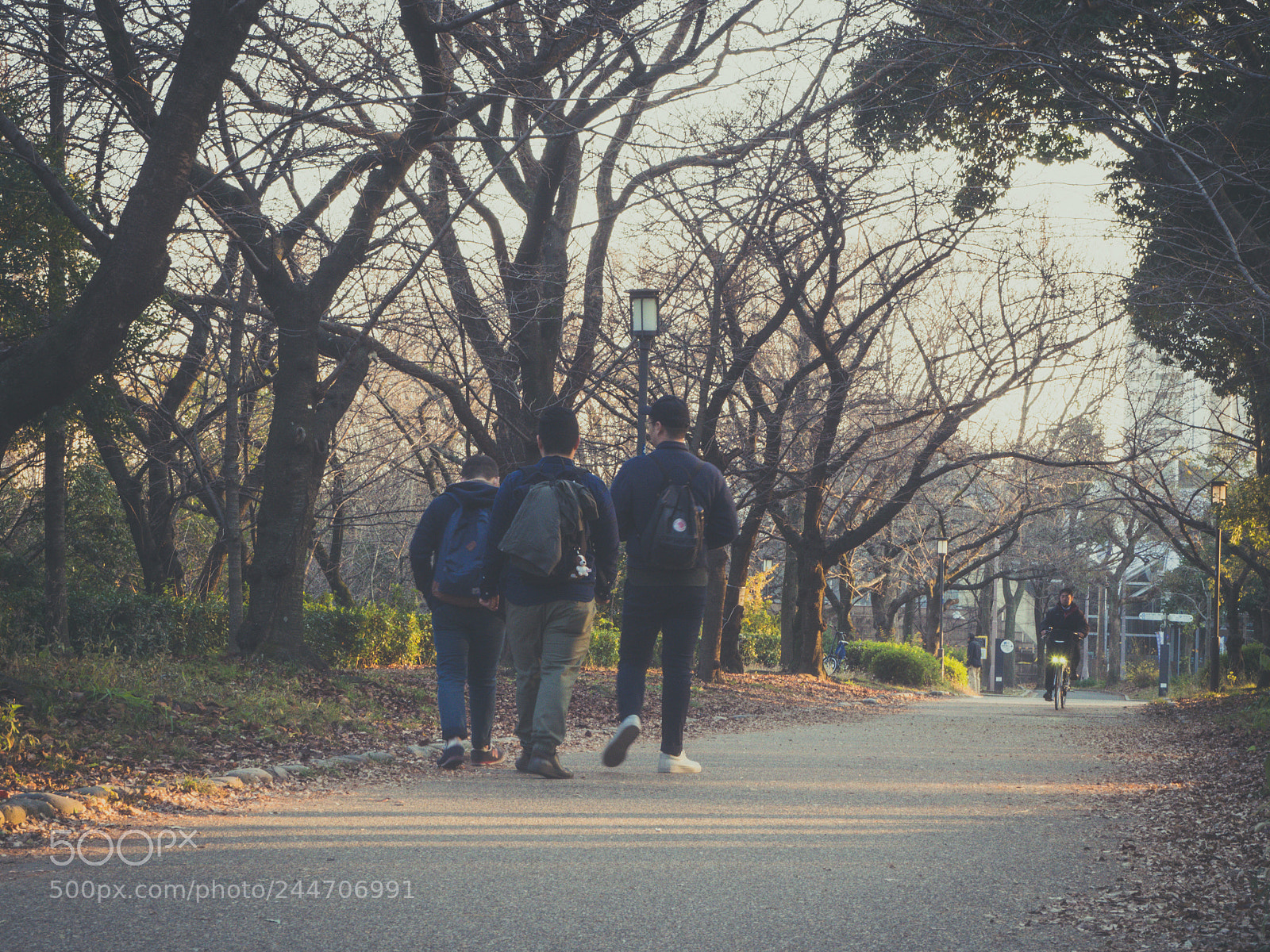 Olympus OM-D E-M10 sample photo. Nihon photography
