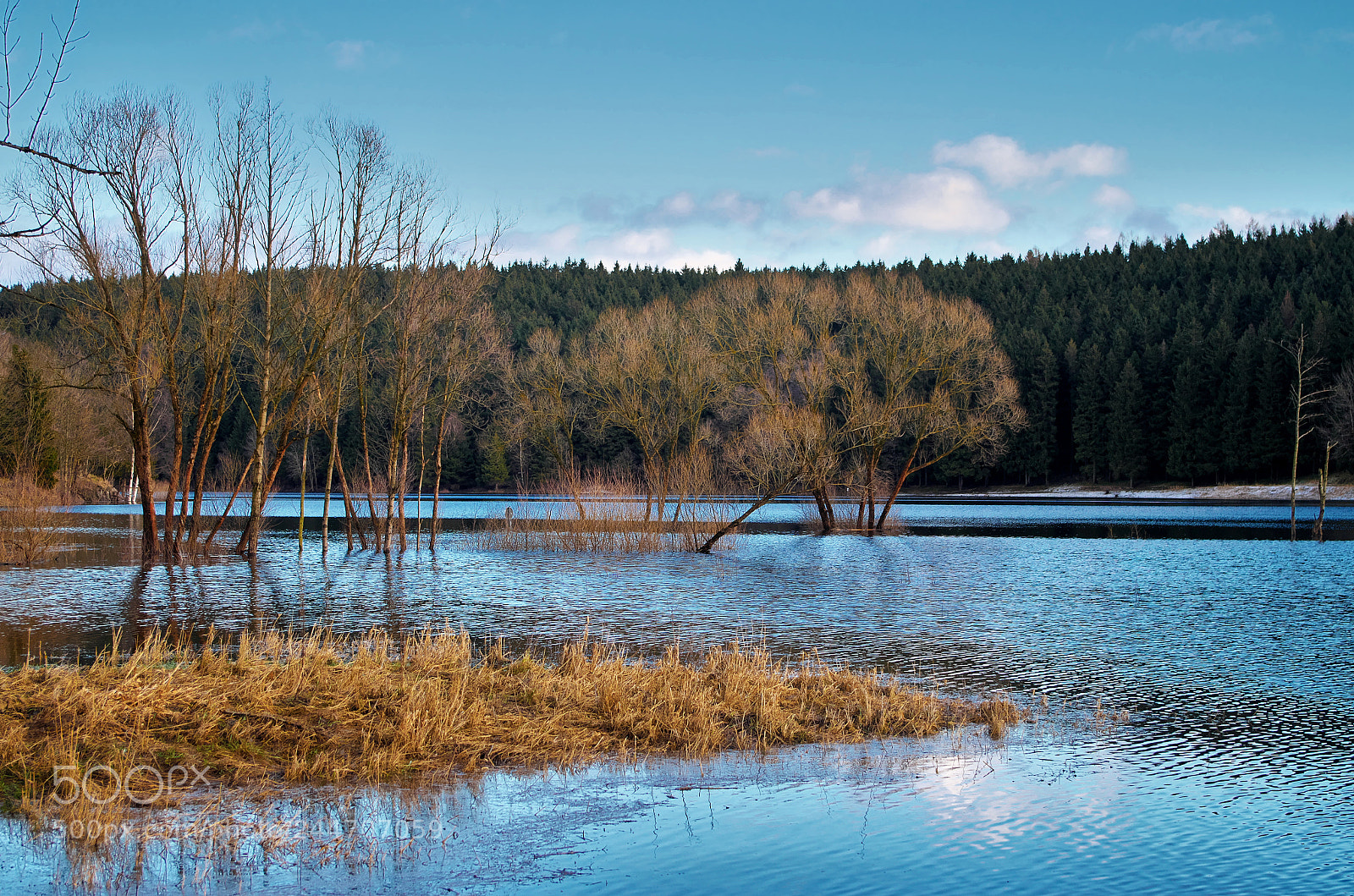 Pentax K-30 sample photo. Flooded thawing water photography