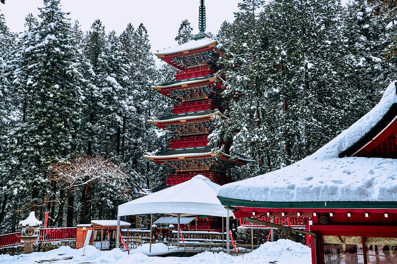 Nikon D850 sample photo. Five-storied pagoda photography