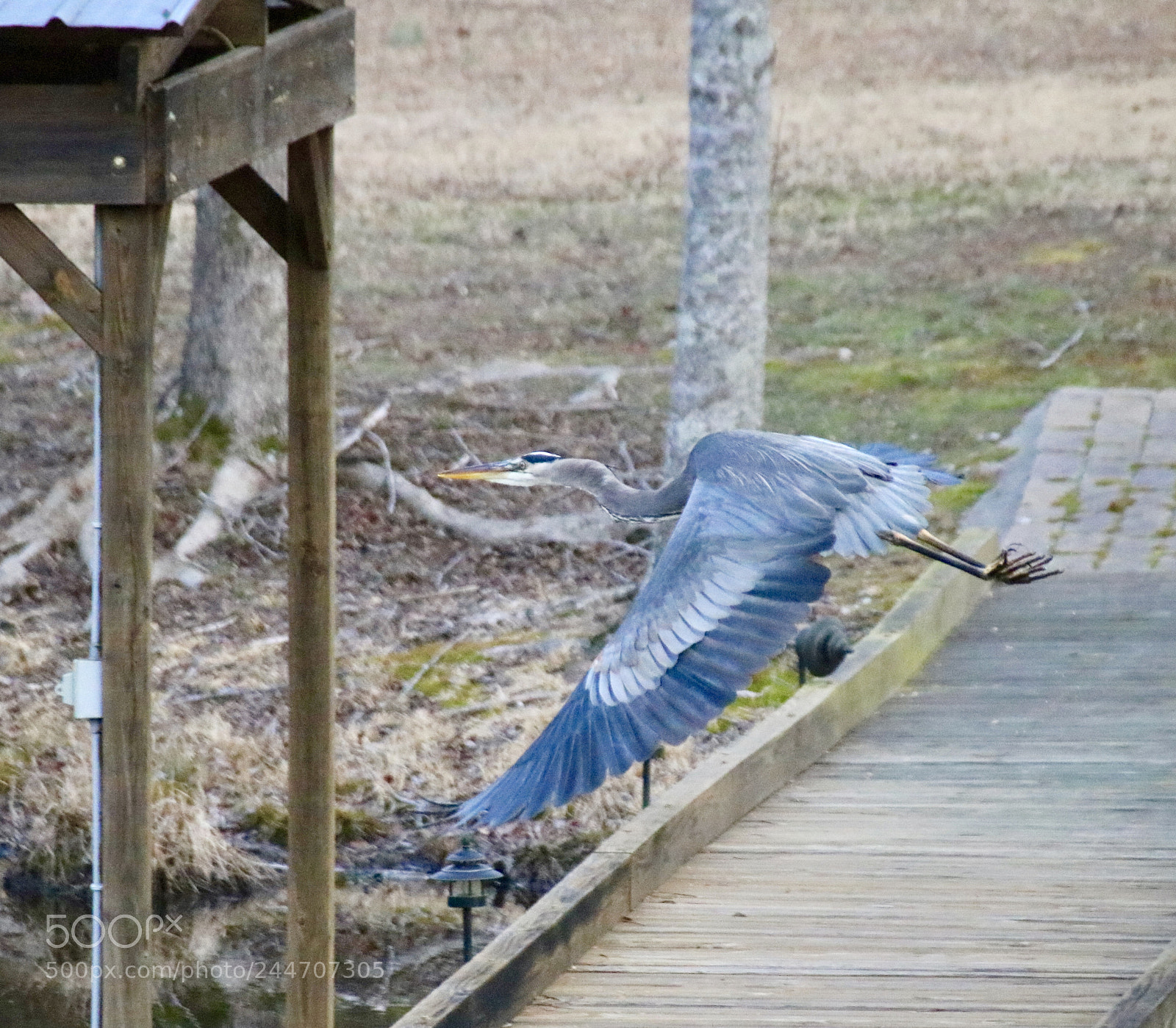 Canon EOS 760D (EOS Rebel T6s / EOS 8000D) sample photo. Backyard fun photography