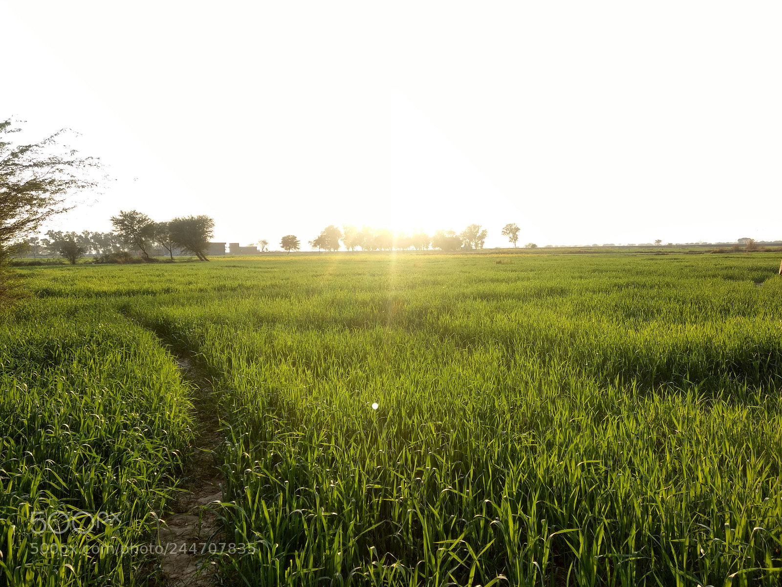 Motorola Moto Z Play sample photo. Chak murtaza photography