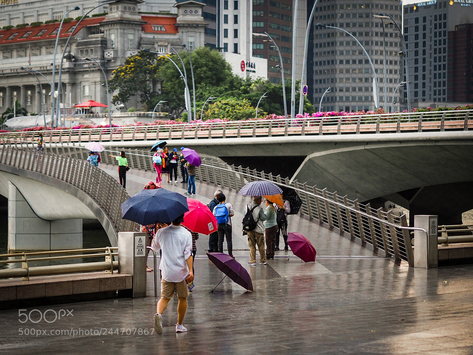 Olympus OM-D E-M10 sample photo. Rain photography