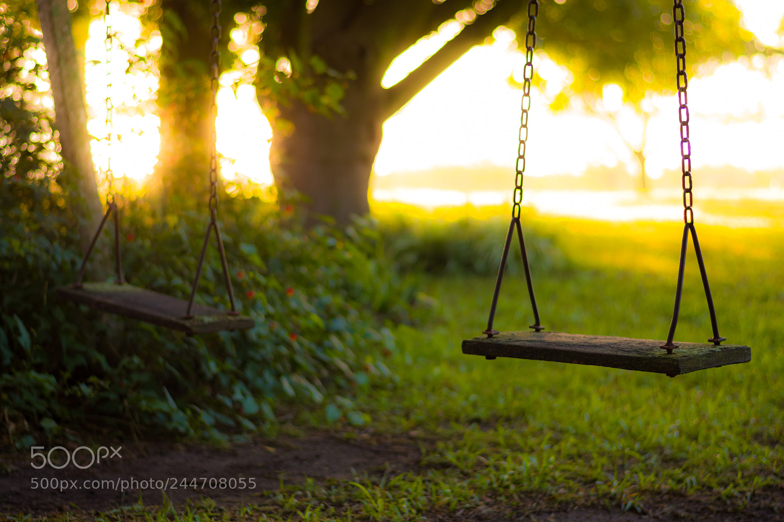 Nikon D7100 sample photo. Untitled photography