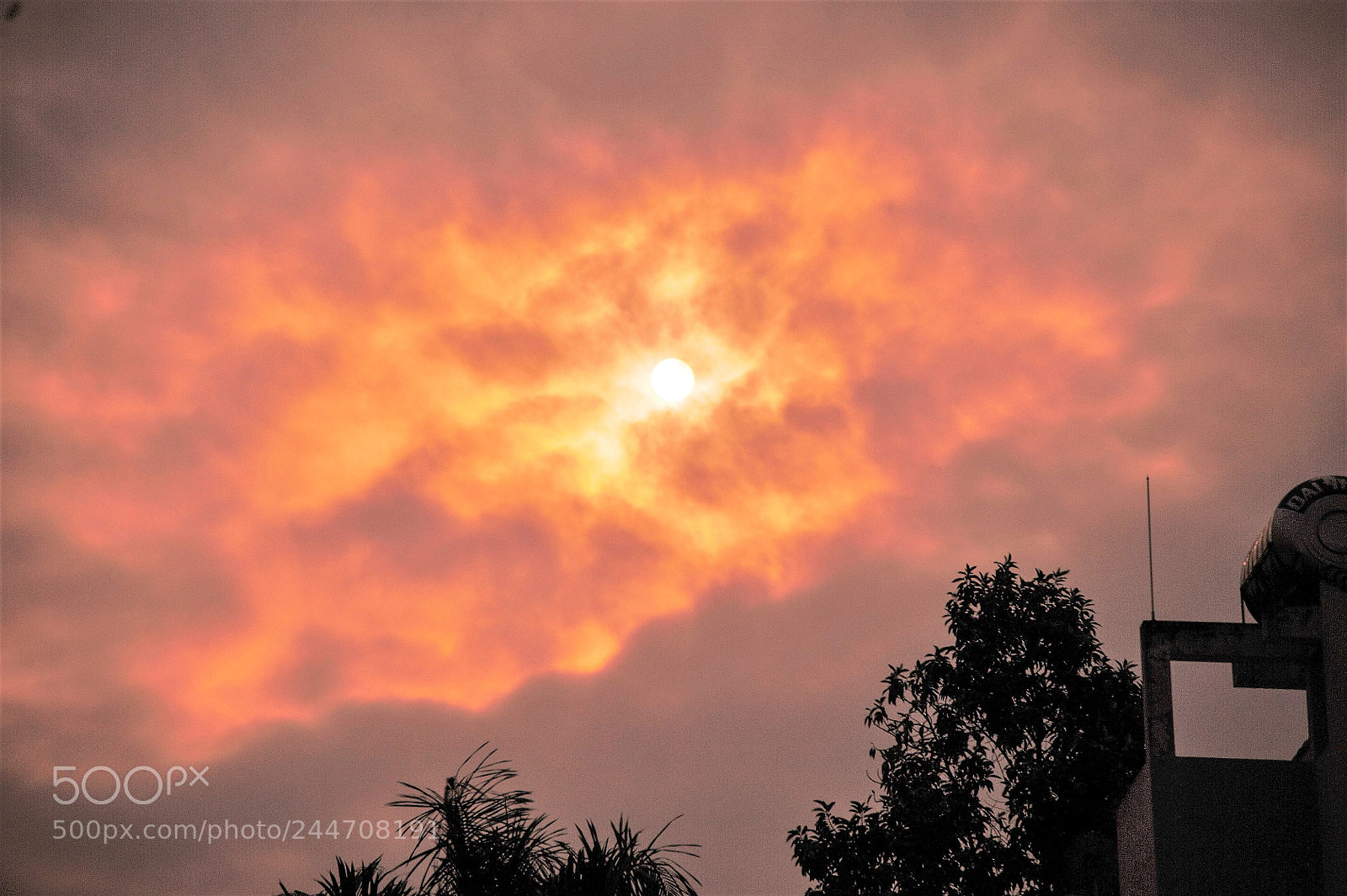 Nikon D700 sample photo. Sun photography