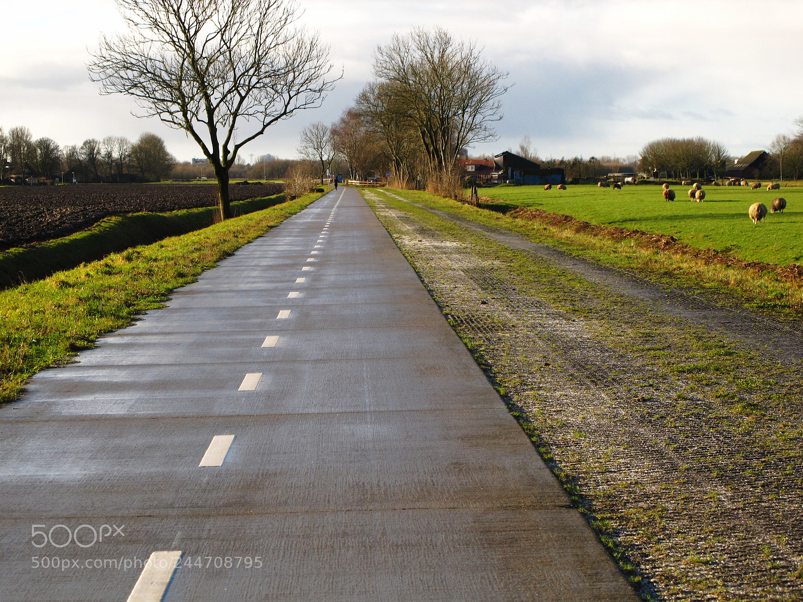 Canon PowerShot G11 sample photo. Highway for bicycles photography