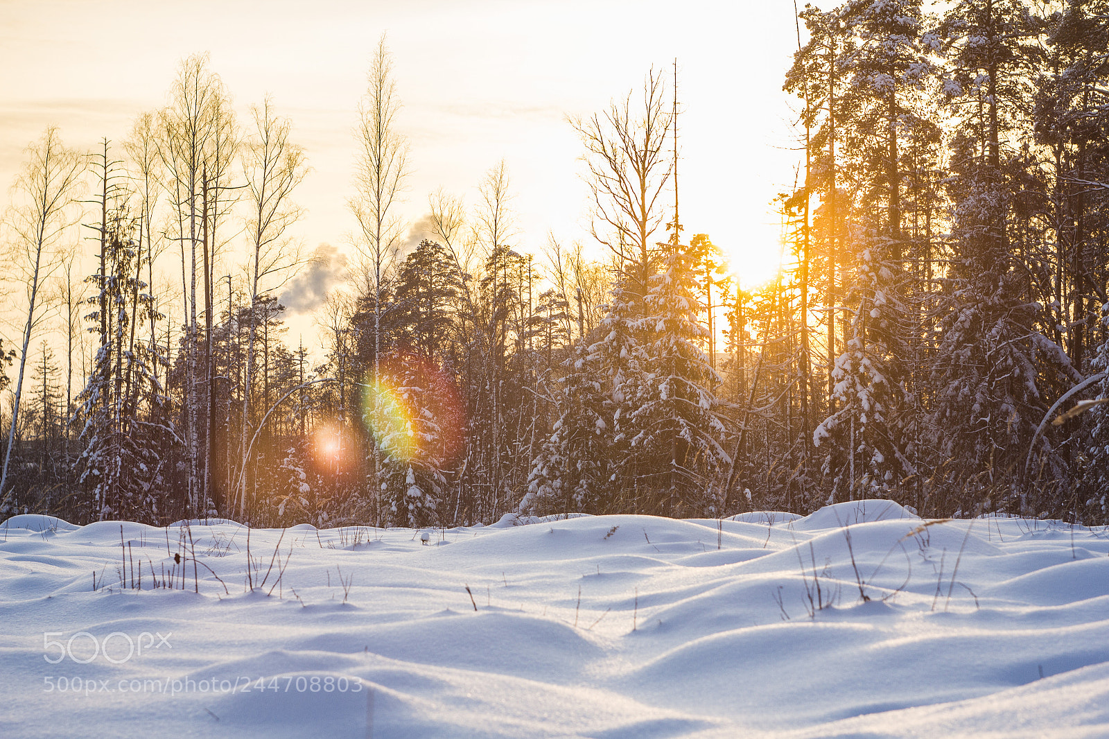Canon EOS 550D (EOS Rebel T2i / EOS Kiss X4) sample photo. Winter sun photography