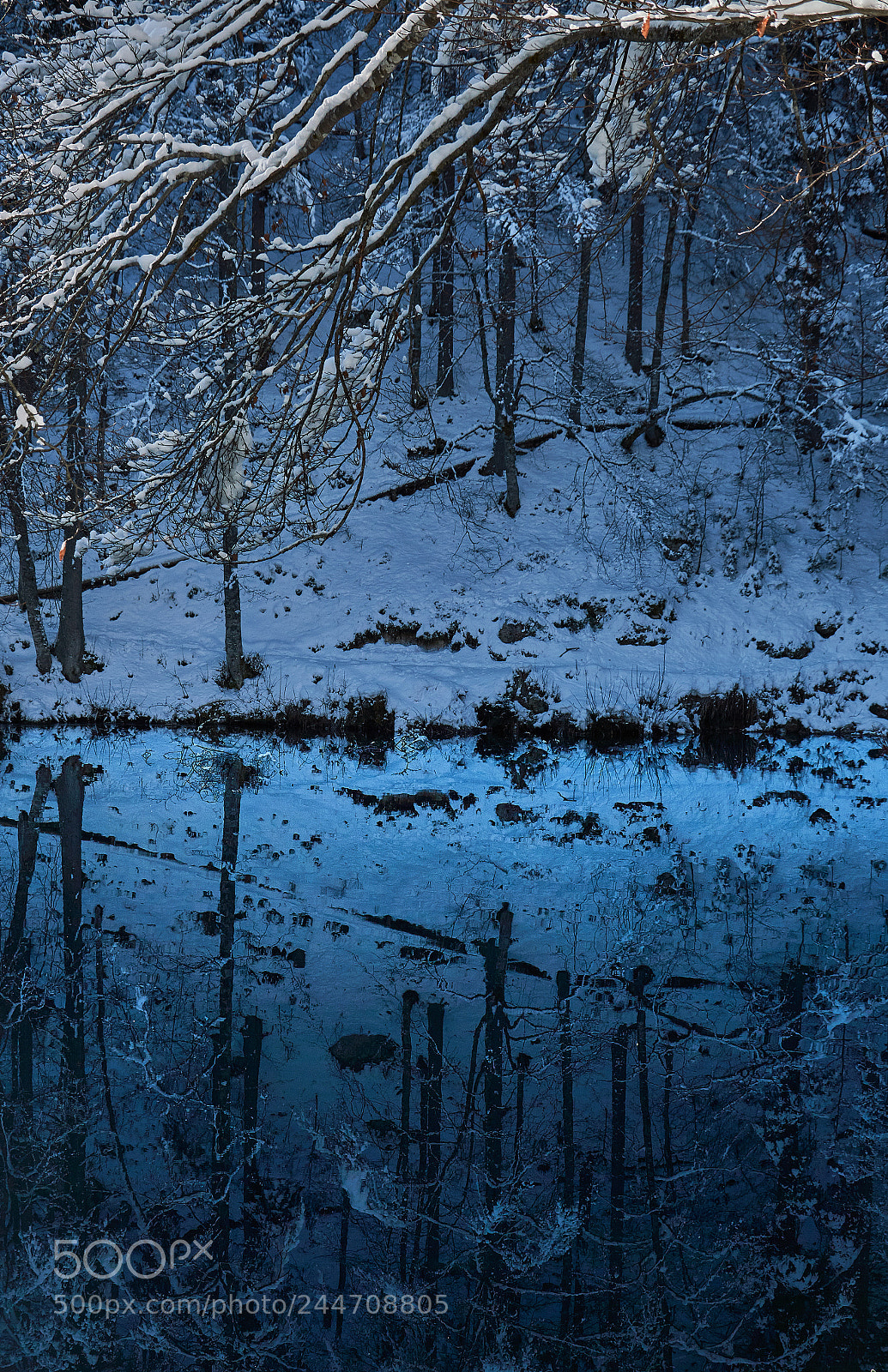 Nikon D3200 sample photo. Deep blue reflection photography