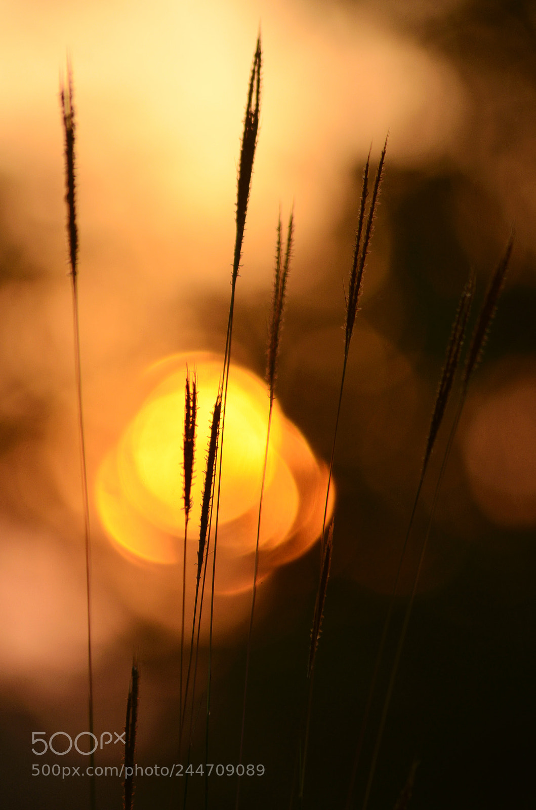 Nikon D5100 sample photo. ~fire~ photography