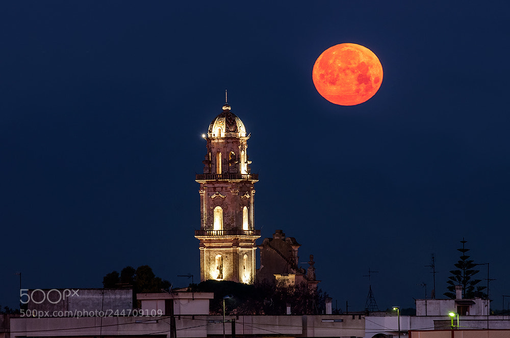 Nikon D300S sample photo. Super moon at sunset photography