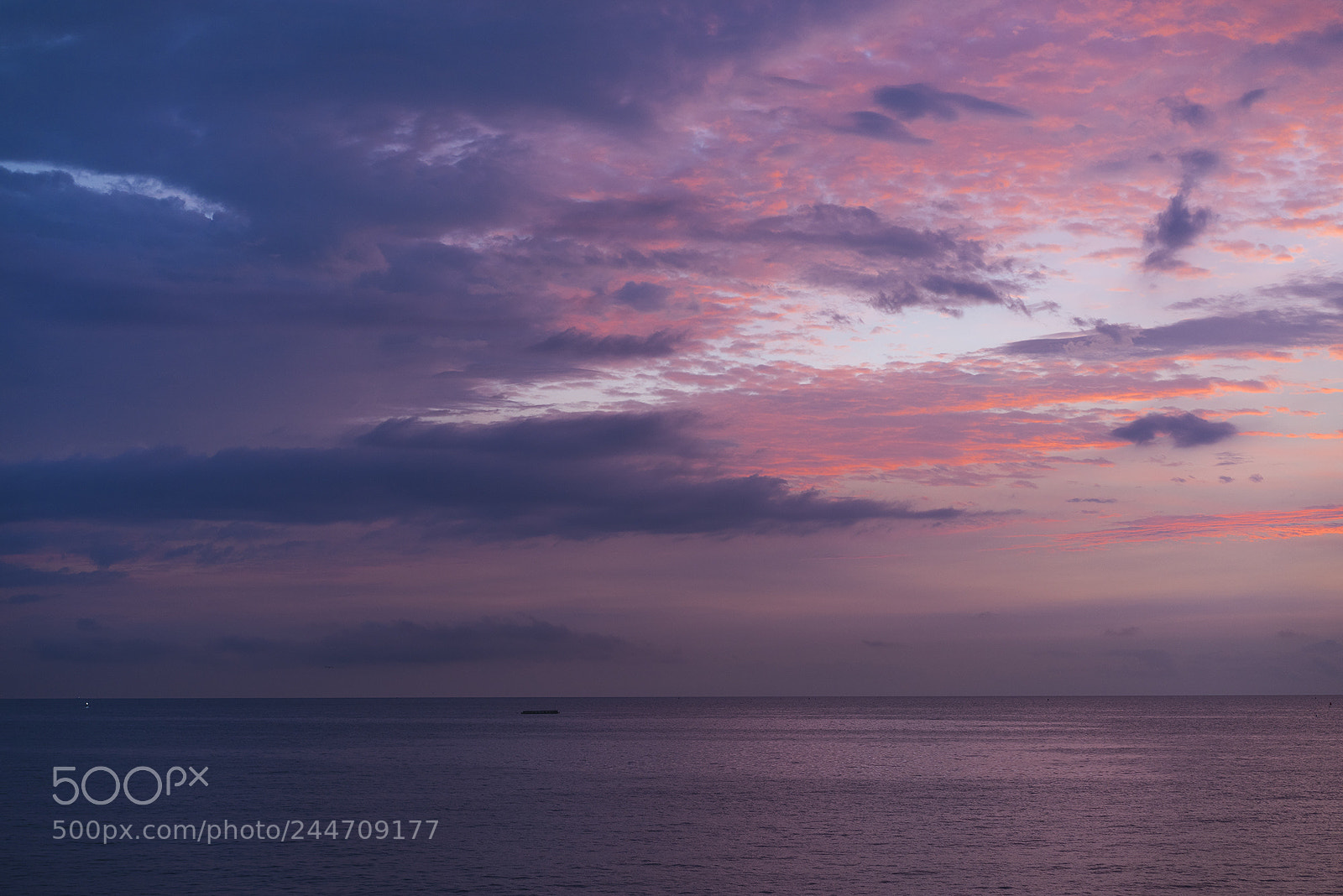 Sony a7R sample photo. Purple photography