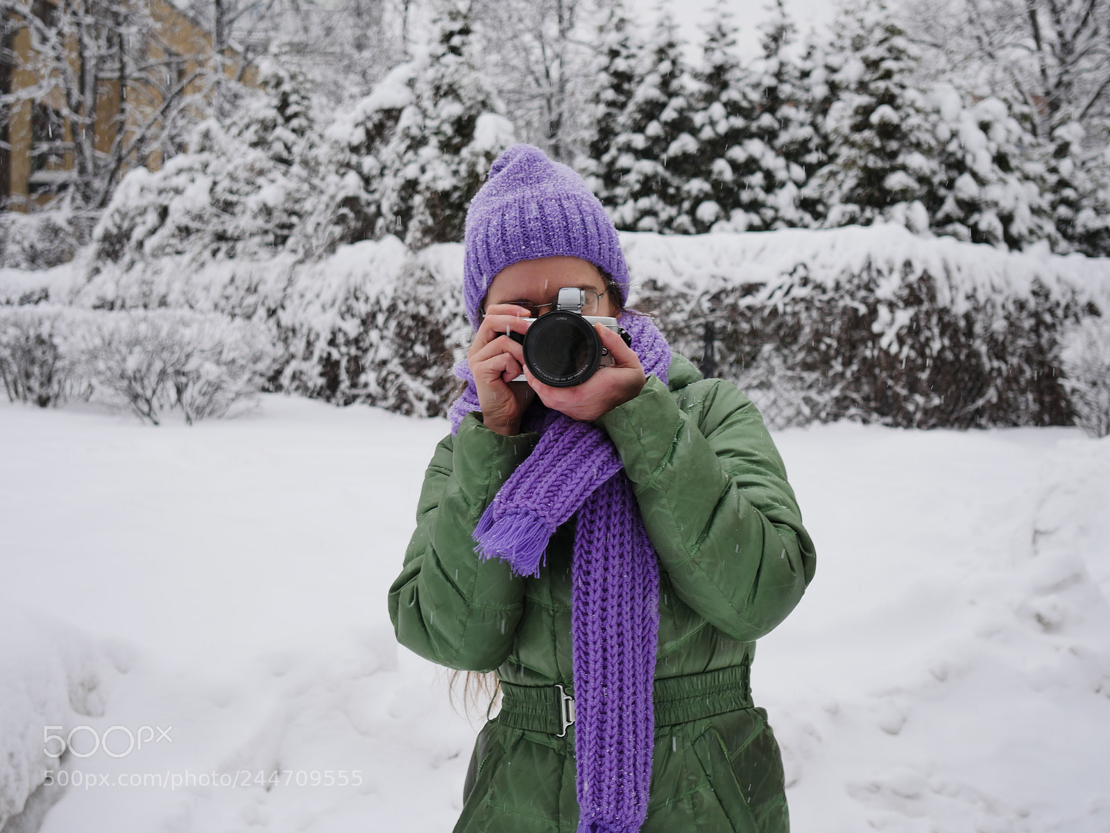 Panasonic Lumix DMC-GX8 sample photo. Untitled photography