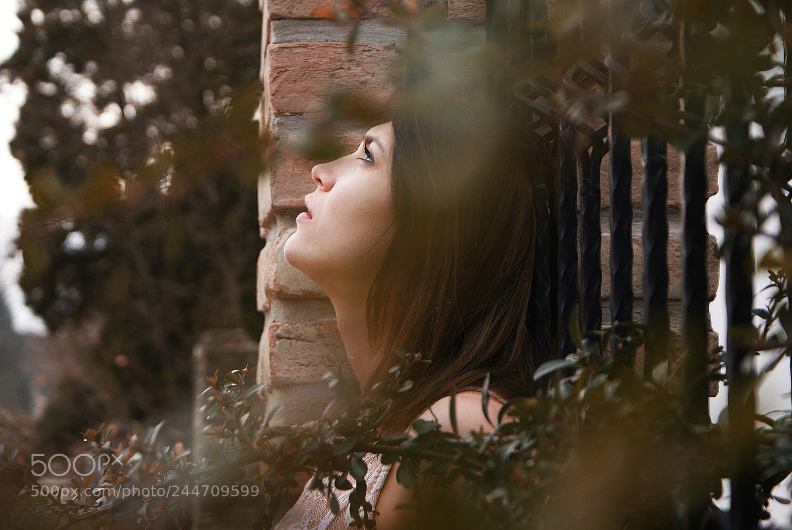 Sony Alpha DSLR-A300 sample photo. Dea photography