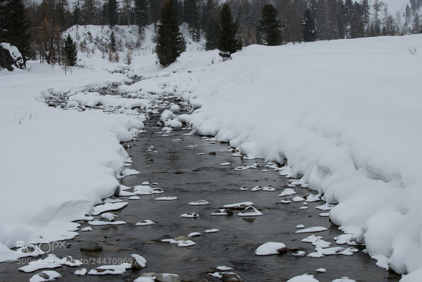Nikon D800 sample photo. Winter in pontresina photography