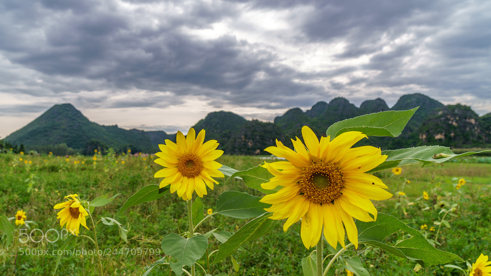 Sony a6300 sample photo. Cloudy photography