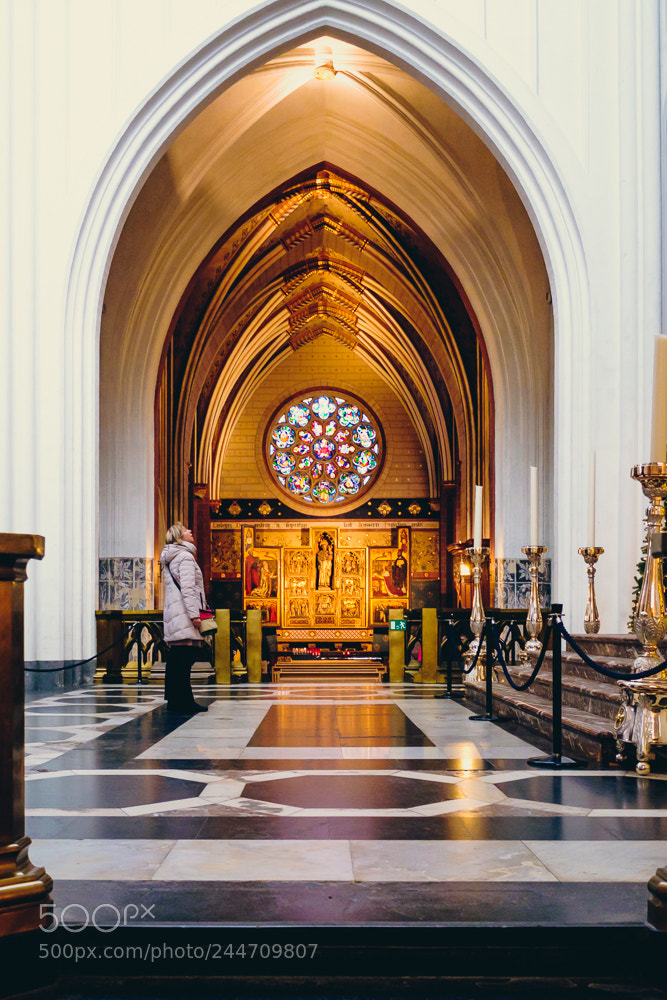 Fujifilm X-T10 sample photo. Antwerpen | cathedral (inside - 3) photography