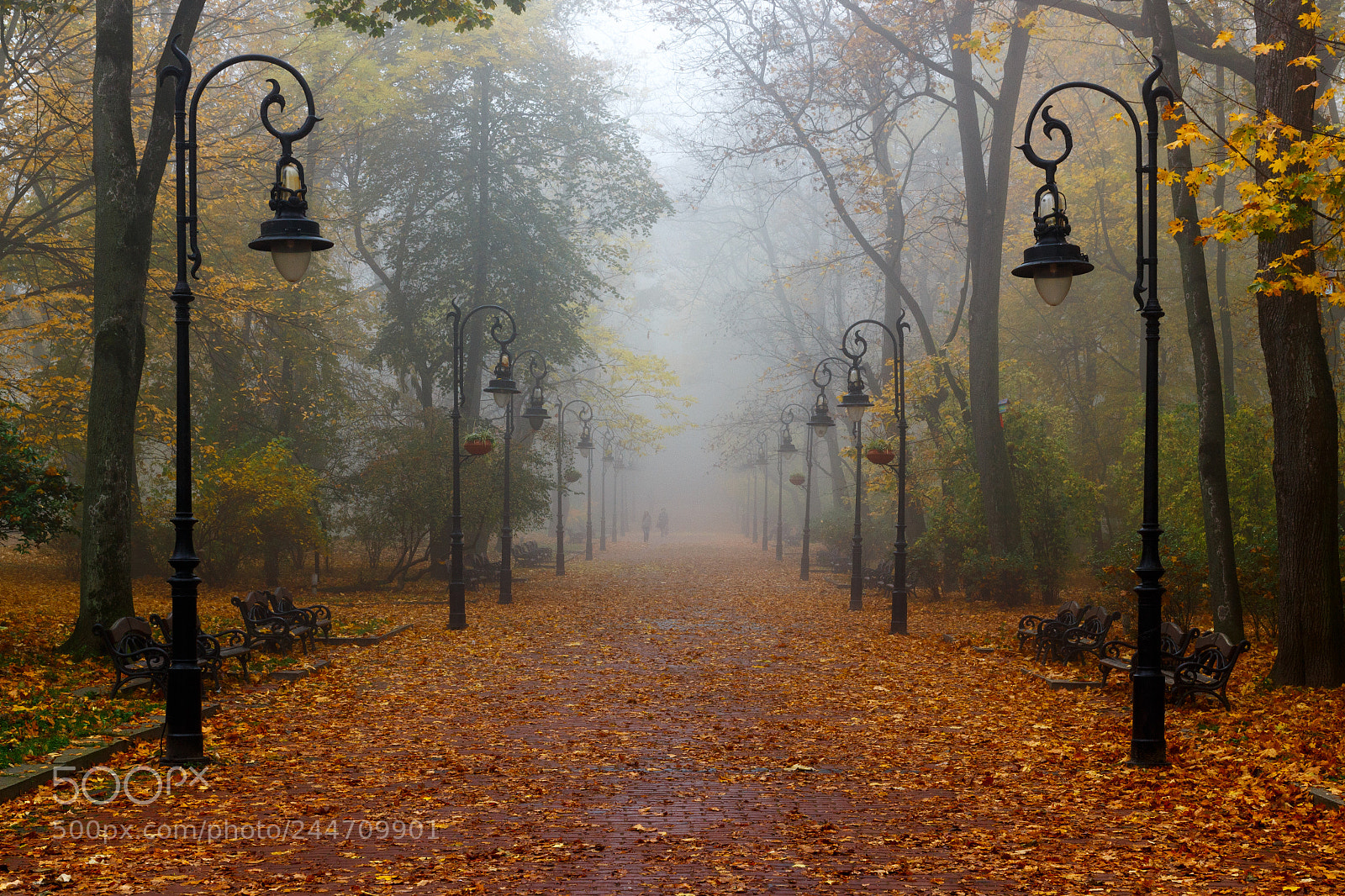 Canon EOS 100D (EOS Rebel SL1 / EOS Kiss X7) sample photo. Autumn alley in the photography