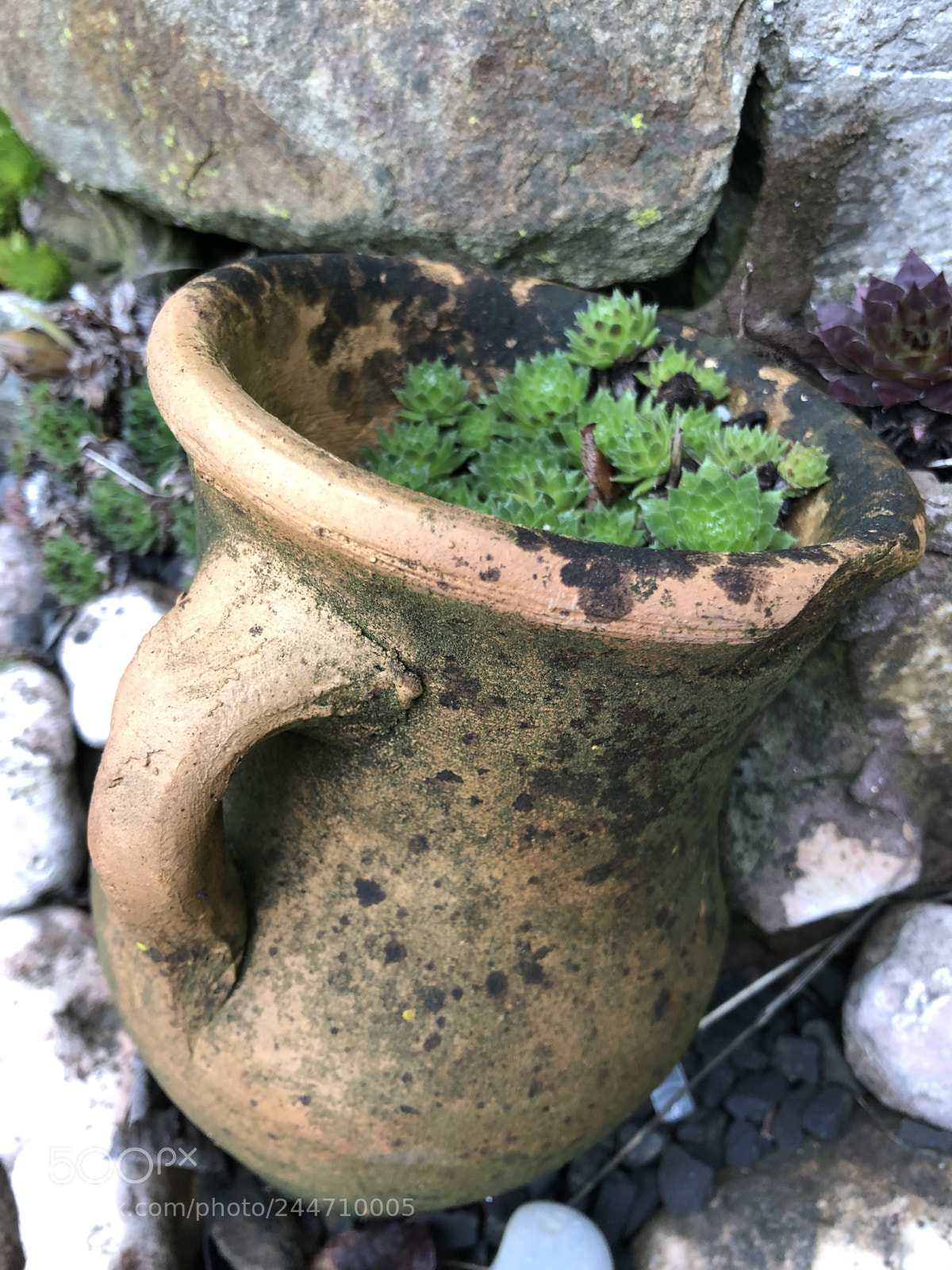 Apple iPhone 8 sample photo. Decor photography