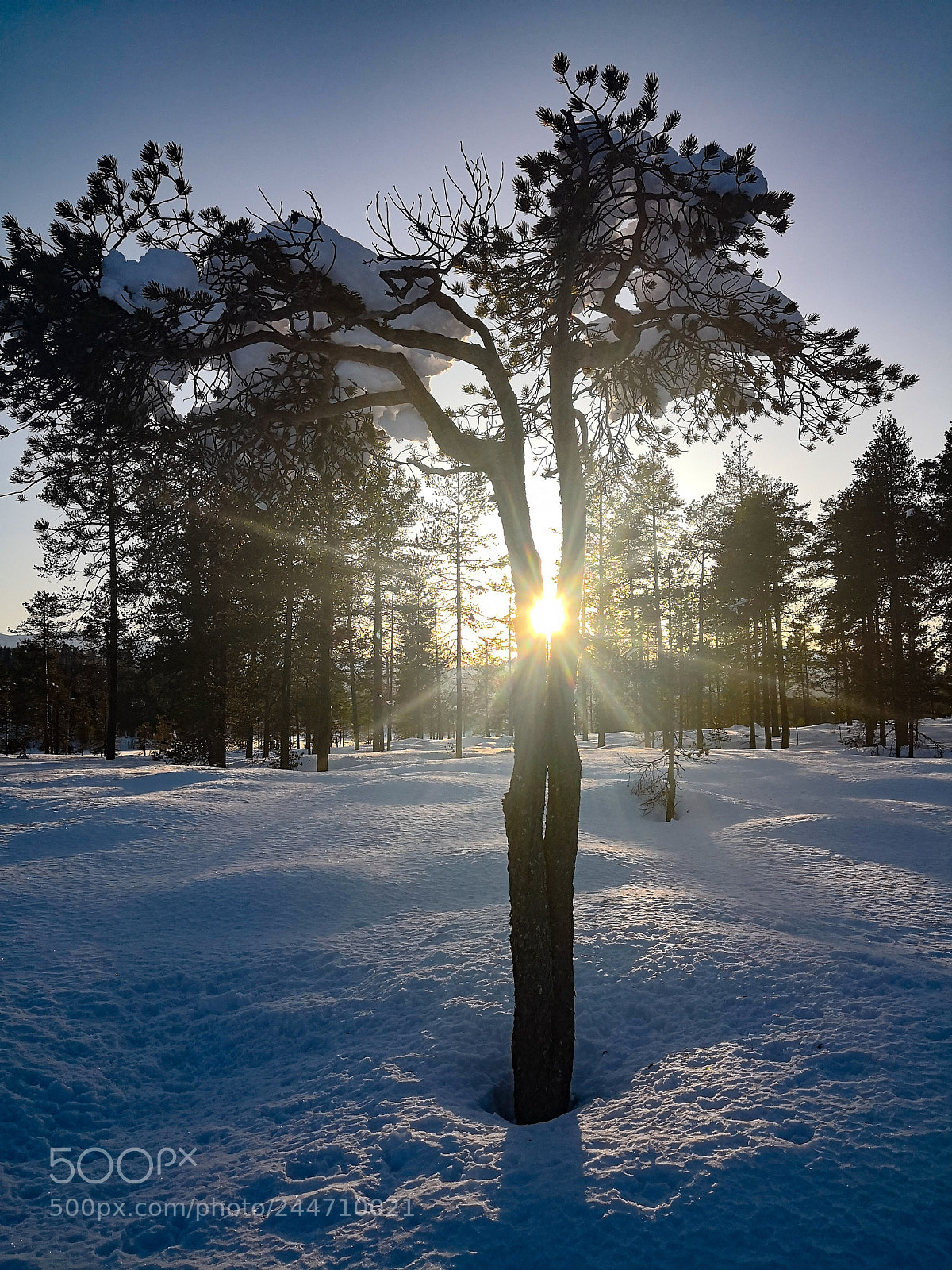 HUAWEI Mate 10 Pro sample photo. Sunrays photography