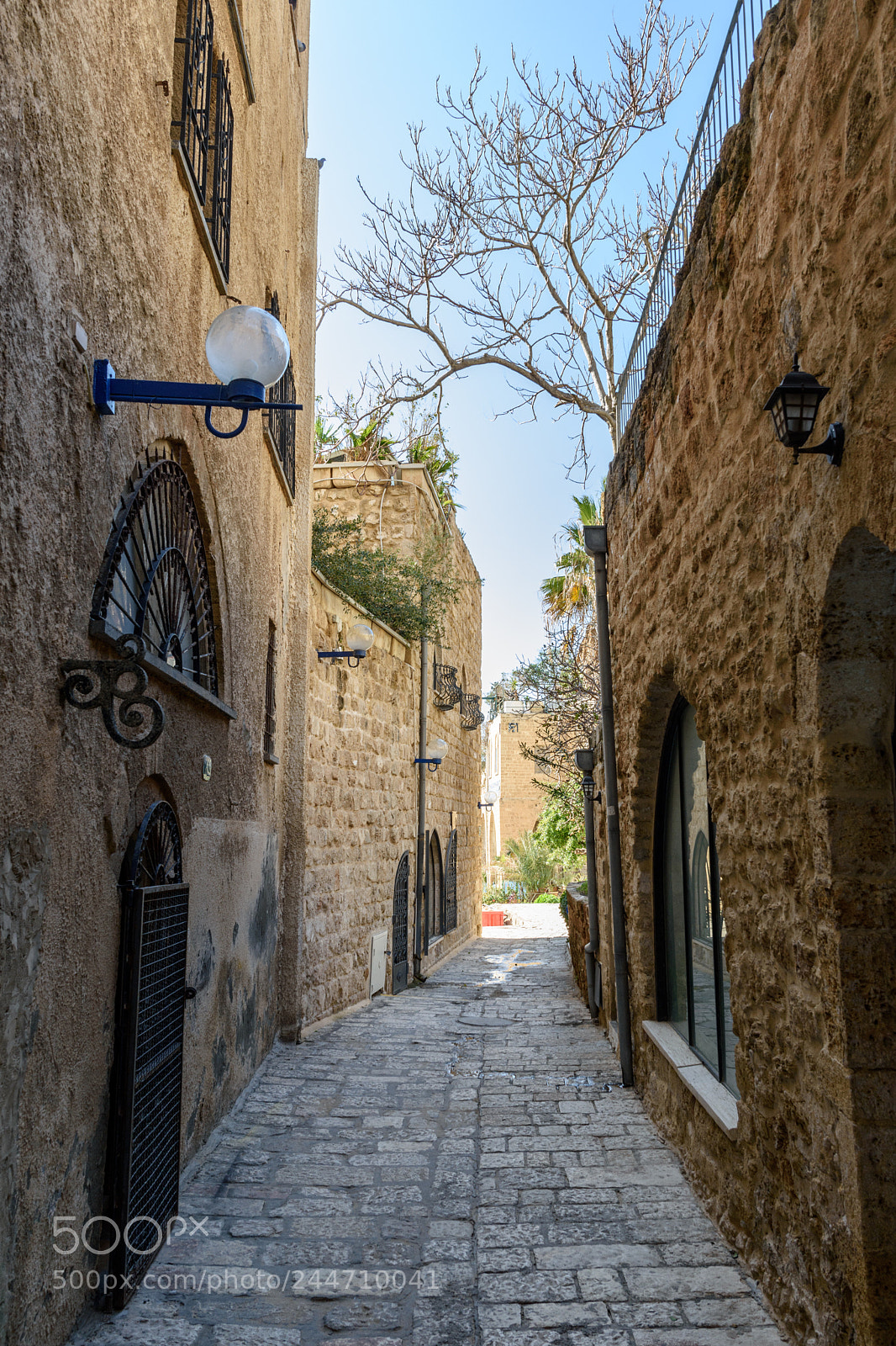 Nikon D7200 sample photo. A beautiful alley in photography