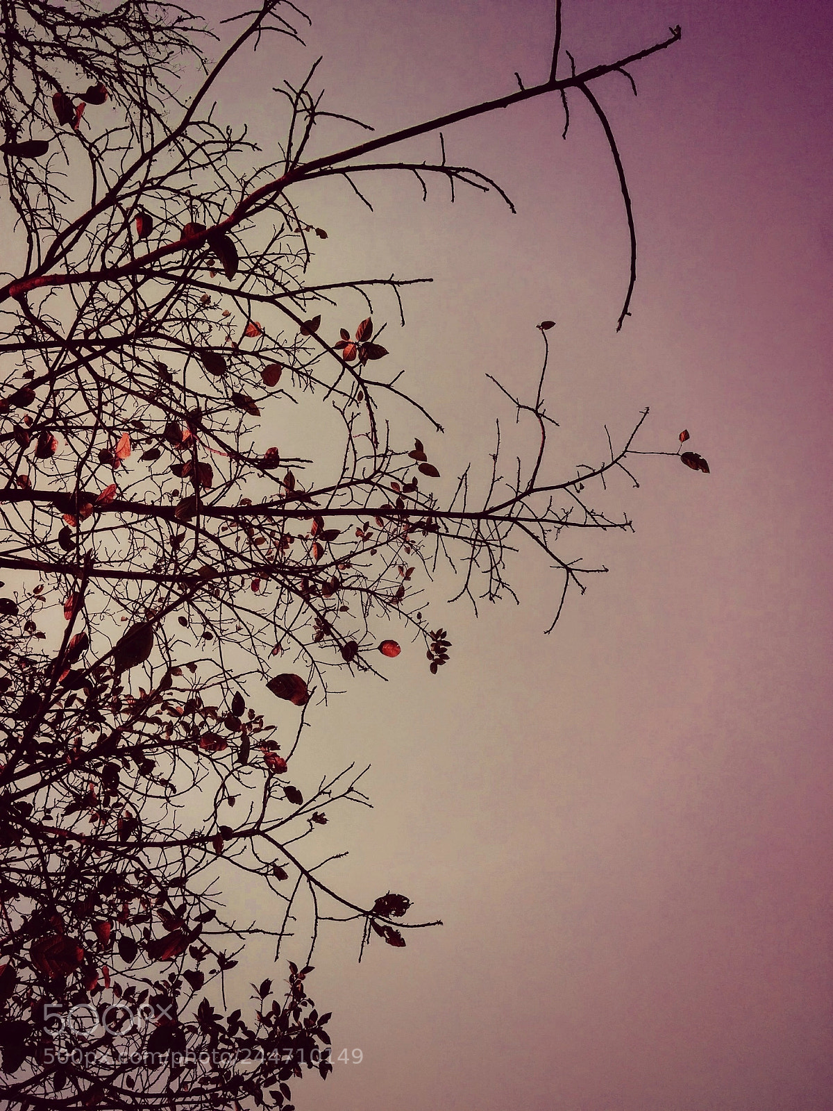 LG Nexus 5 sample photo. # red sky # photography