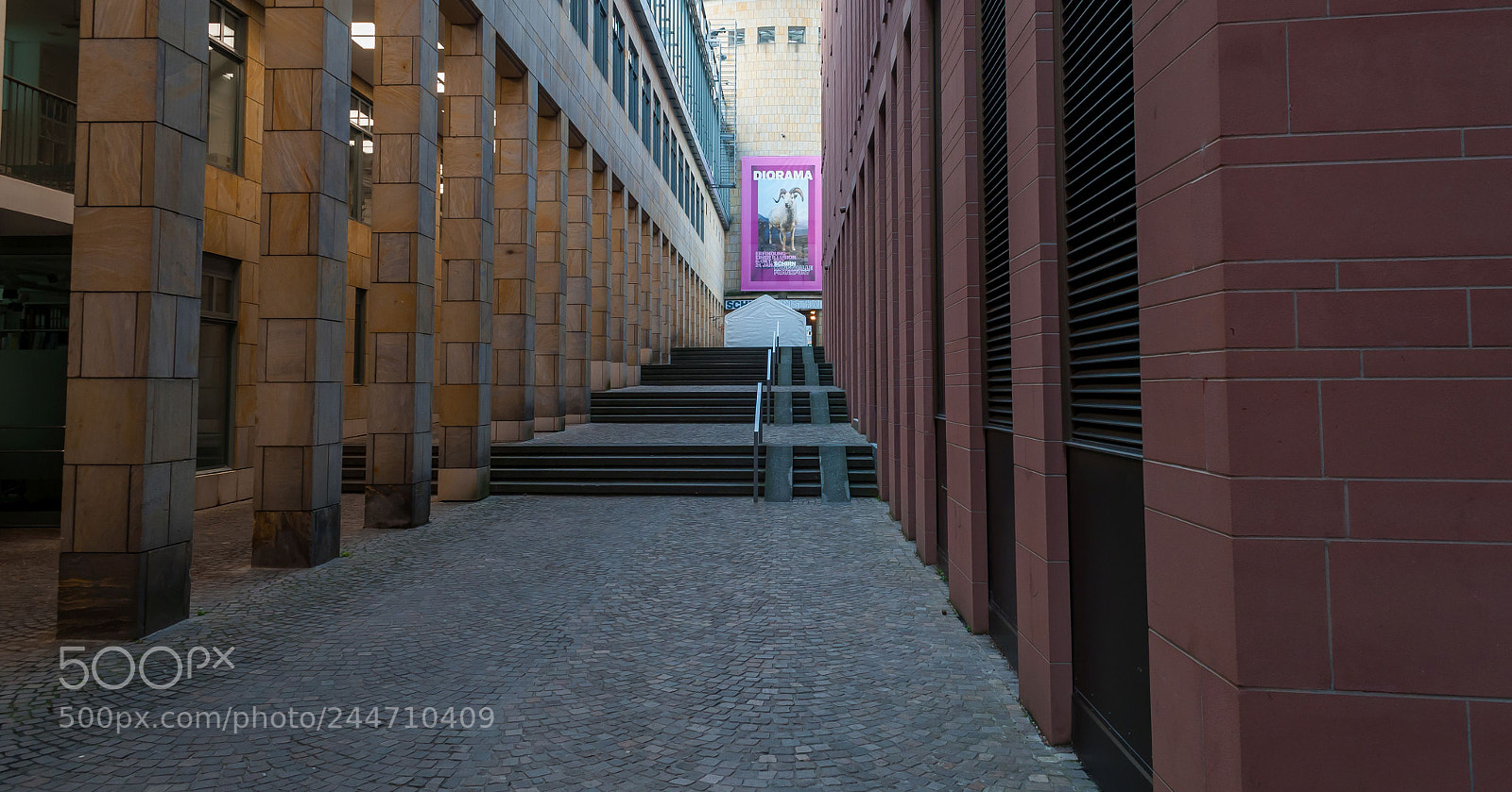 Nikon D300 sample photo. Schirn photography