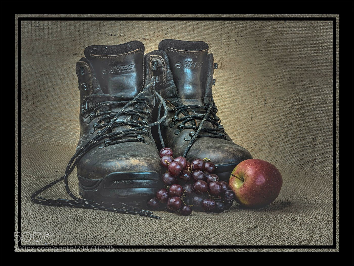 Olympus OM-D E-M5 II sample photo. Down trodden fruit photography