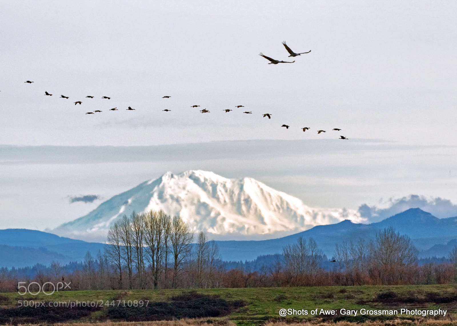 Canon EOS 7D Mark II sample photo. Birds over mt. adams photography