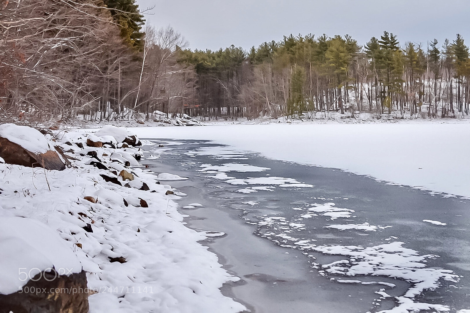 Nikon D7200 sample photo. On thin ice photography