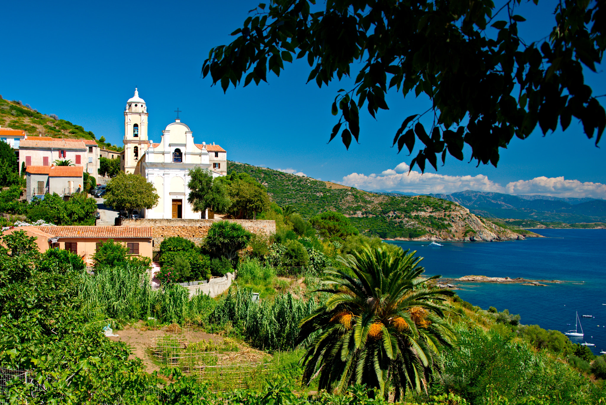 Nikon D800 sample photo. Beautiful village of cargese in western corsica photography