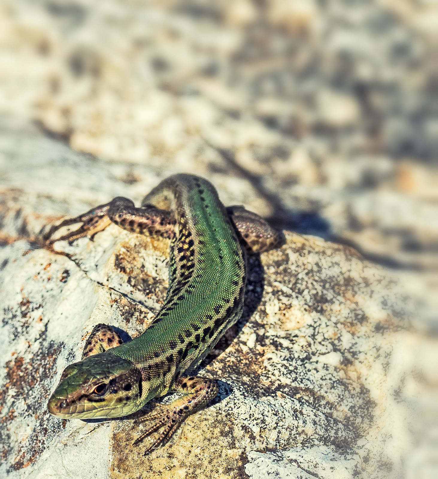 Olympus OM-D E-M1 Mark II sample photo. Kefelonia (greece) photography