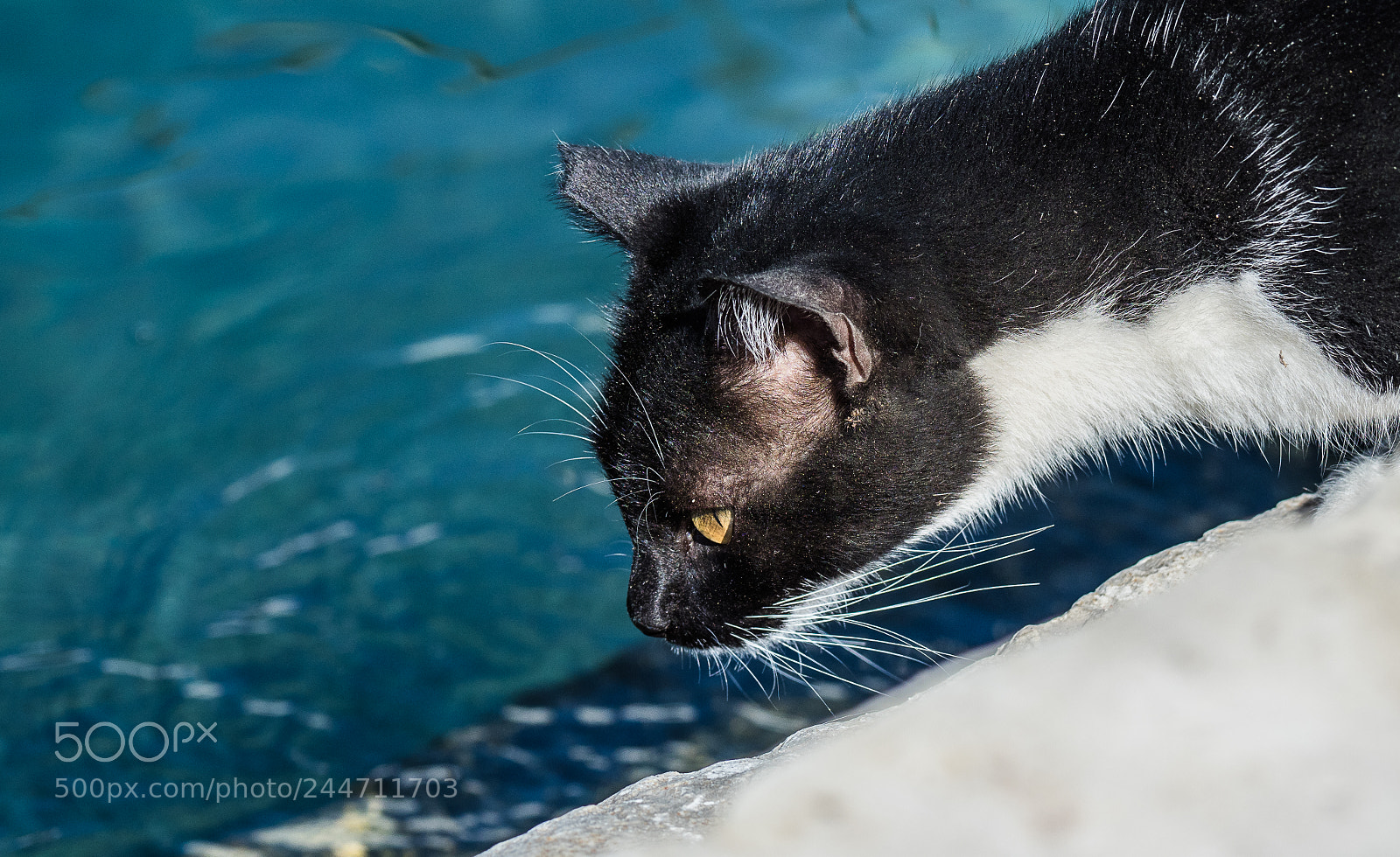 Olympus OM-D E-M1 Mark II sample photo. Kefelonia (greece) photography