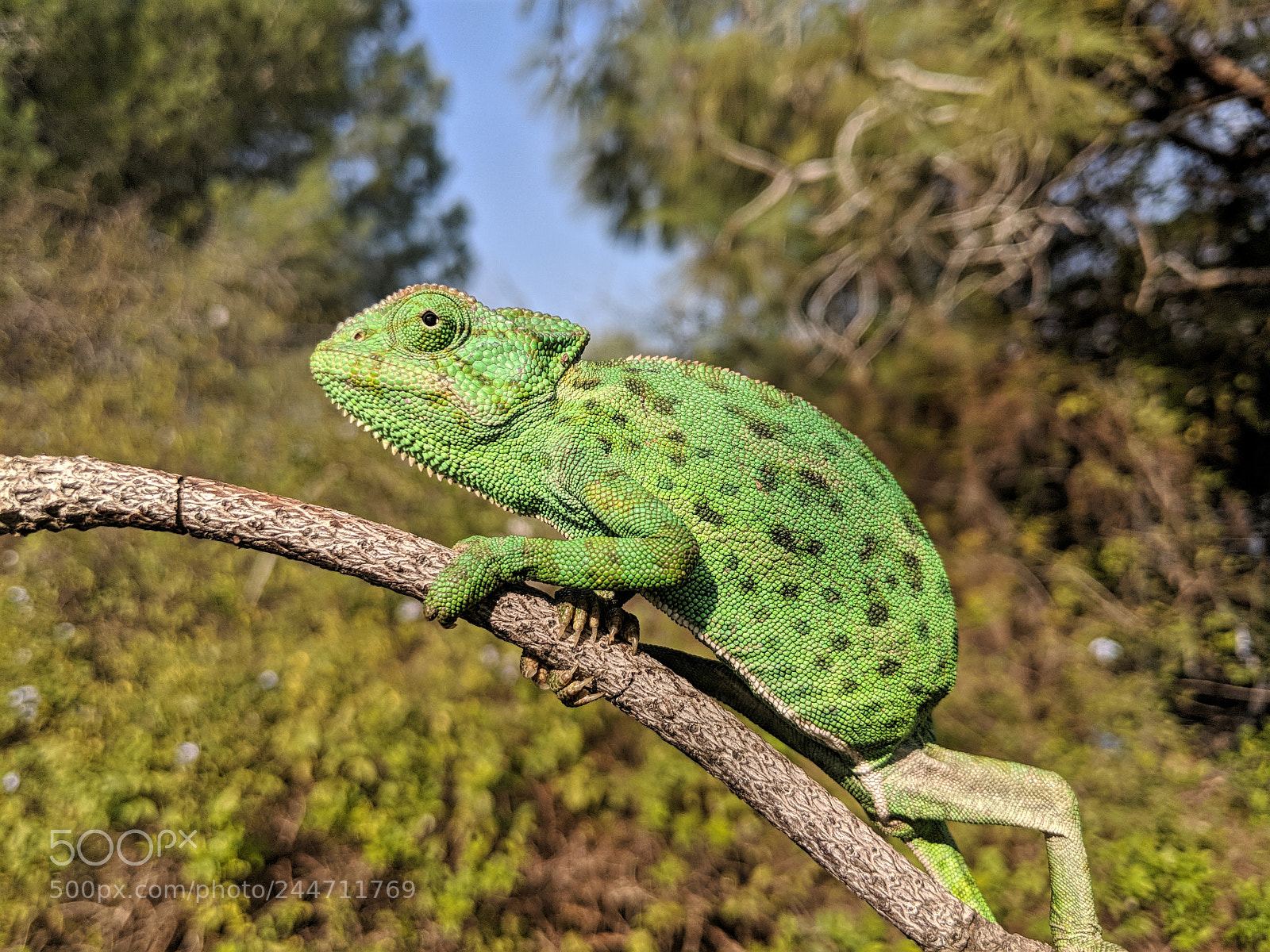 Google Pixel 2 XL sample photo. Mv photography