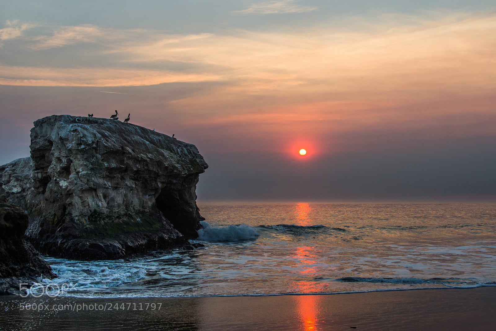 Nikon D600 sample photo. Pelikan sunset photography