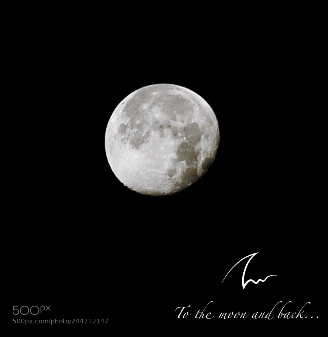 Nikon D7500 sample photo. To the moon and photography