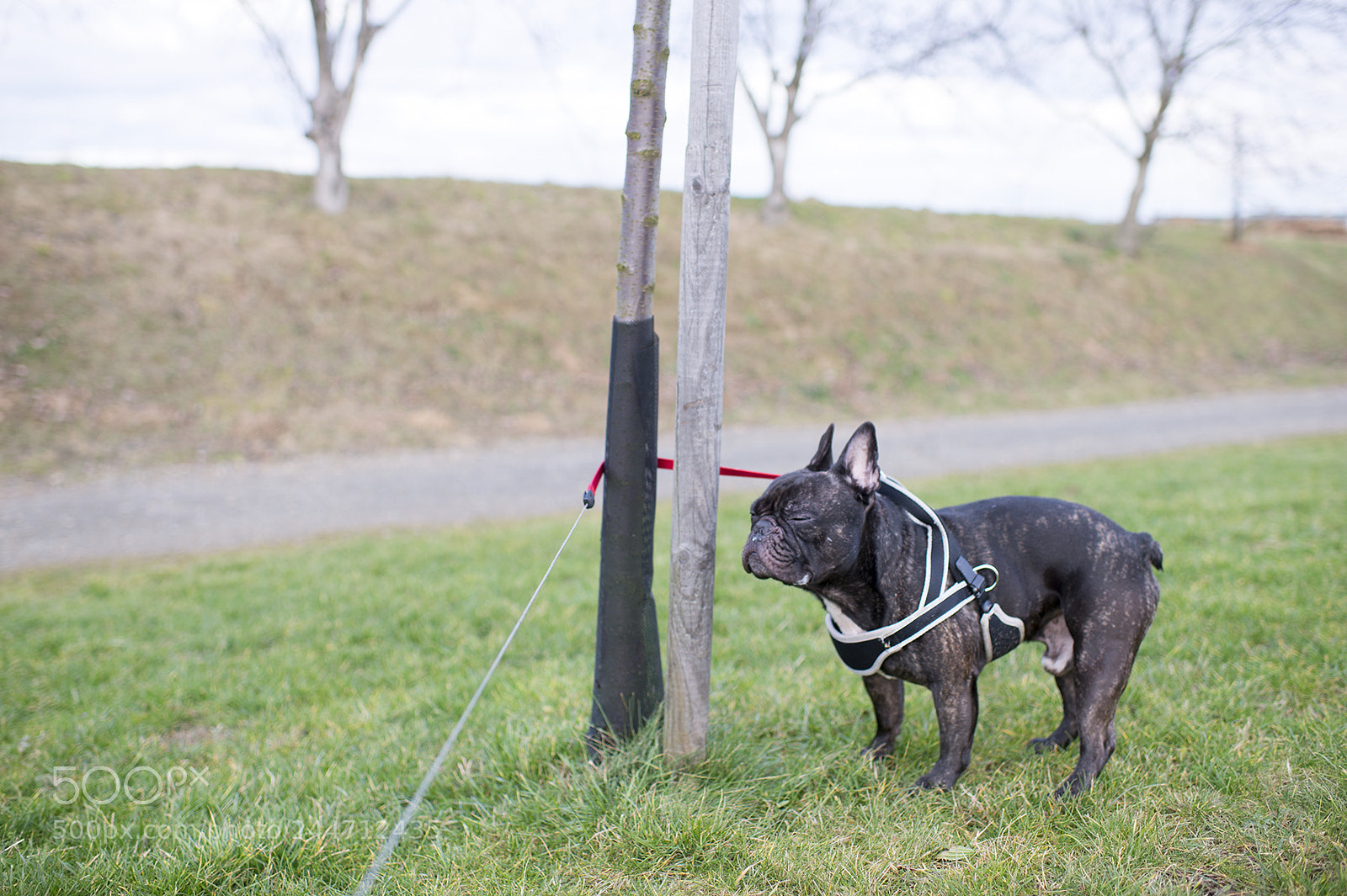 Nikon Df sample photo. Defiance photography