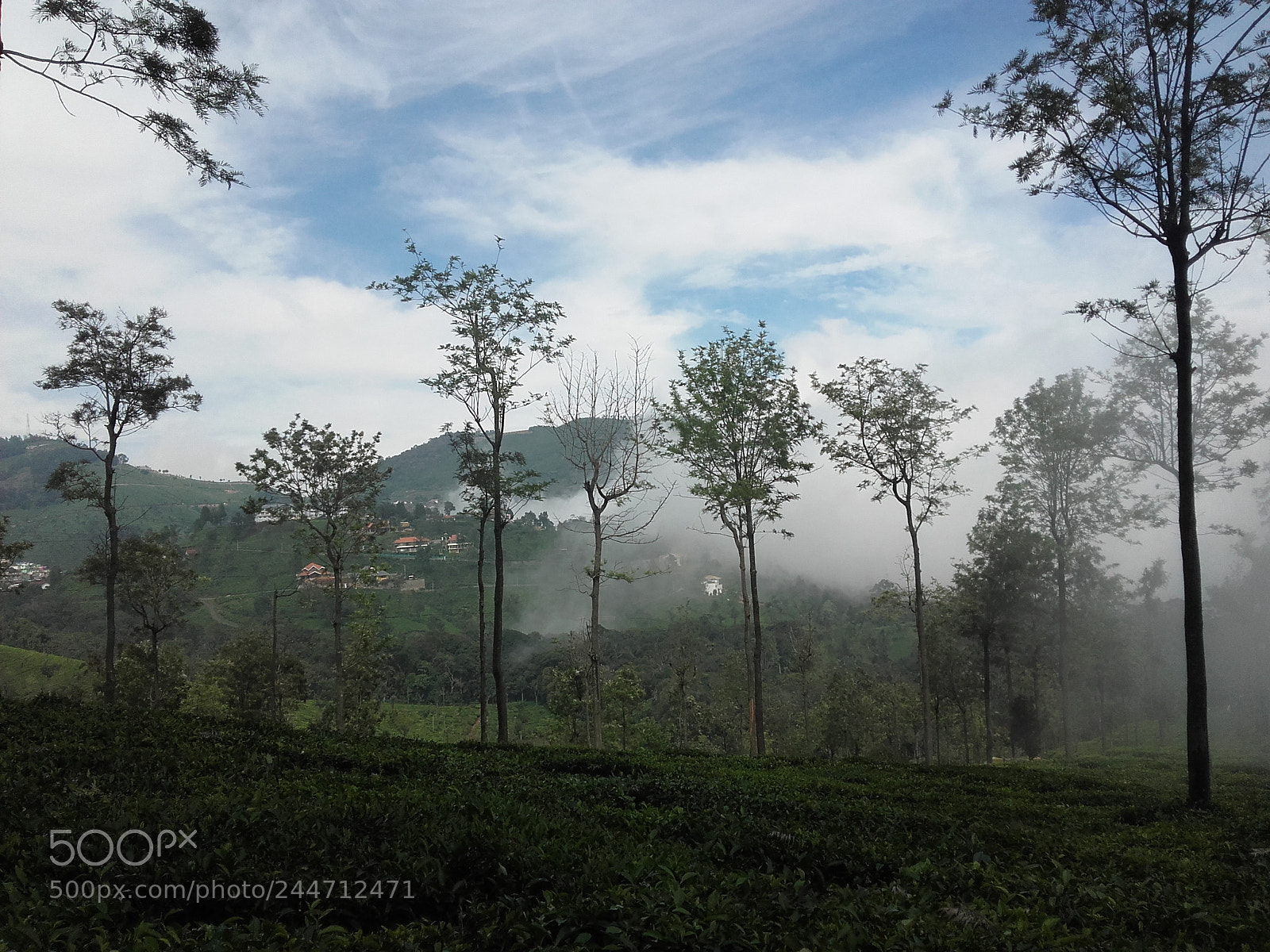 Samsung Galaxy Grand Prime sample photo. Ooty diaries photography