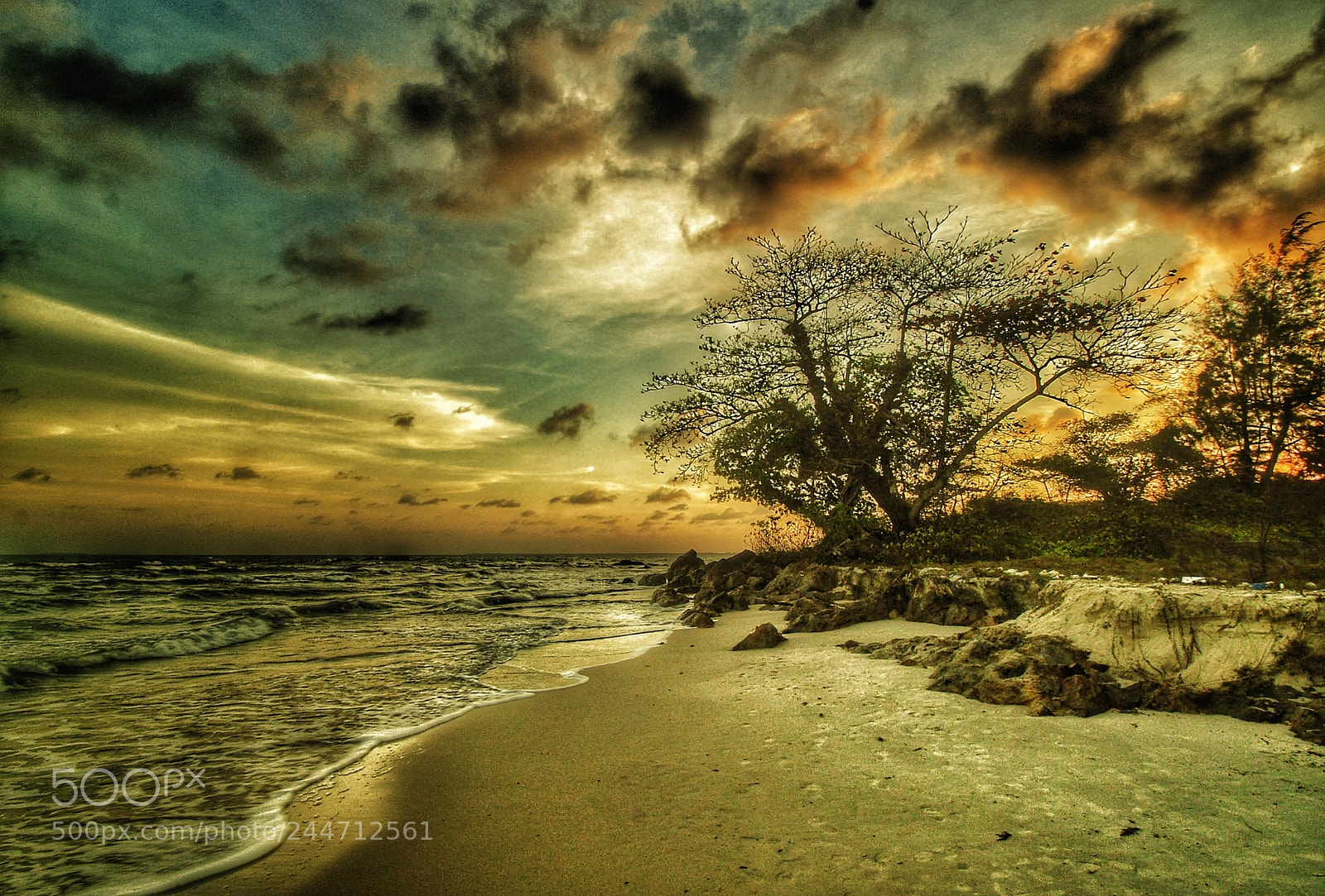 Sony Alpha DSLR-A230 sample photo. Sunset at beach photography