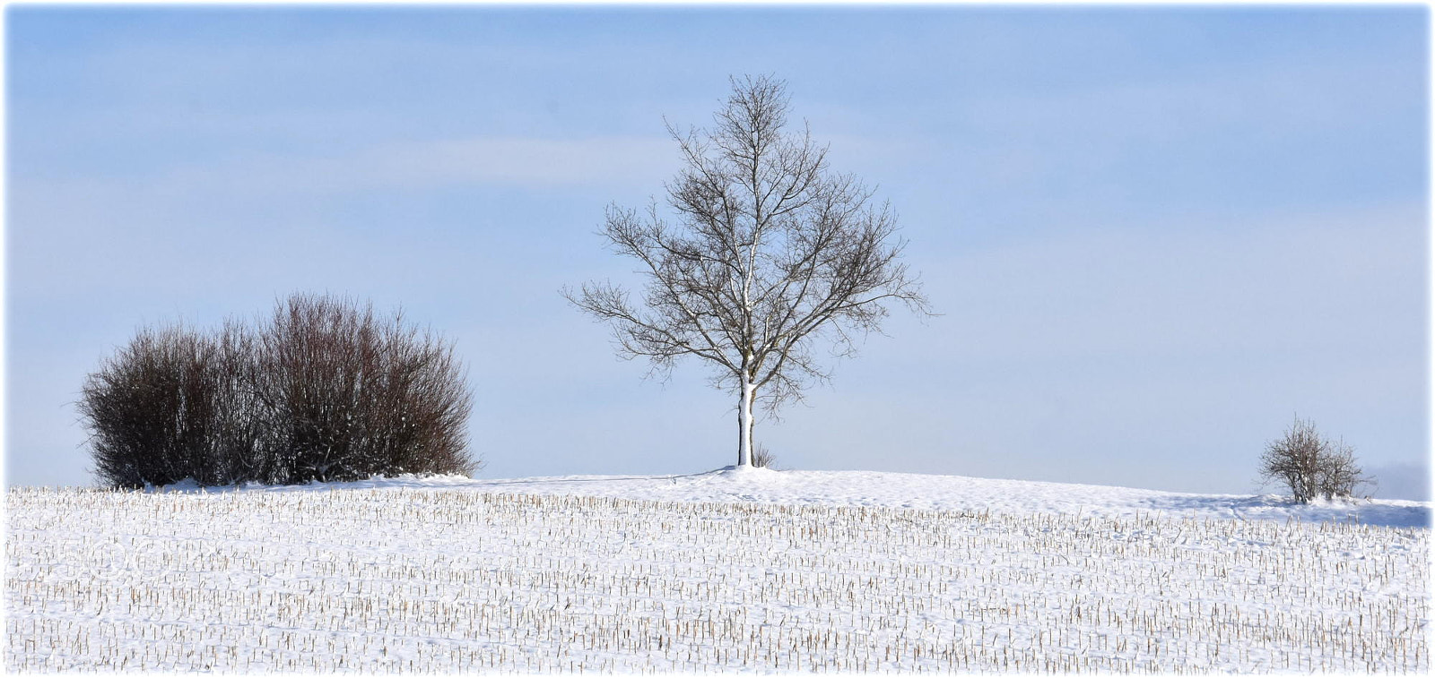 Nikon D7200 sample photo. "winters finest" photography