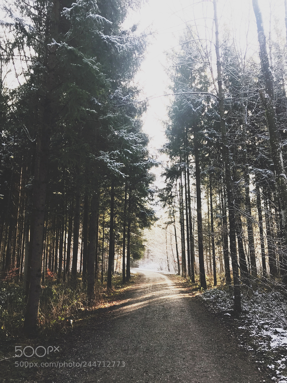 Apple iPhone 7 Plus sample photo. Winter sunshine photography