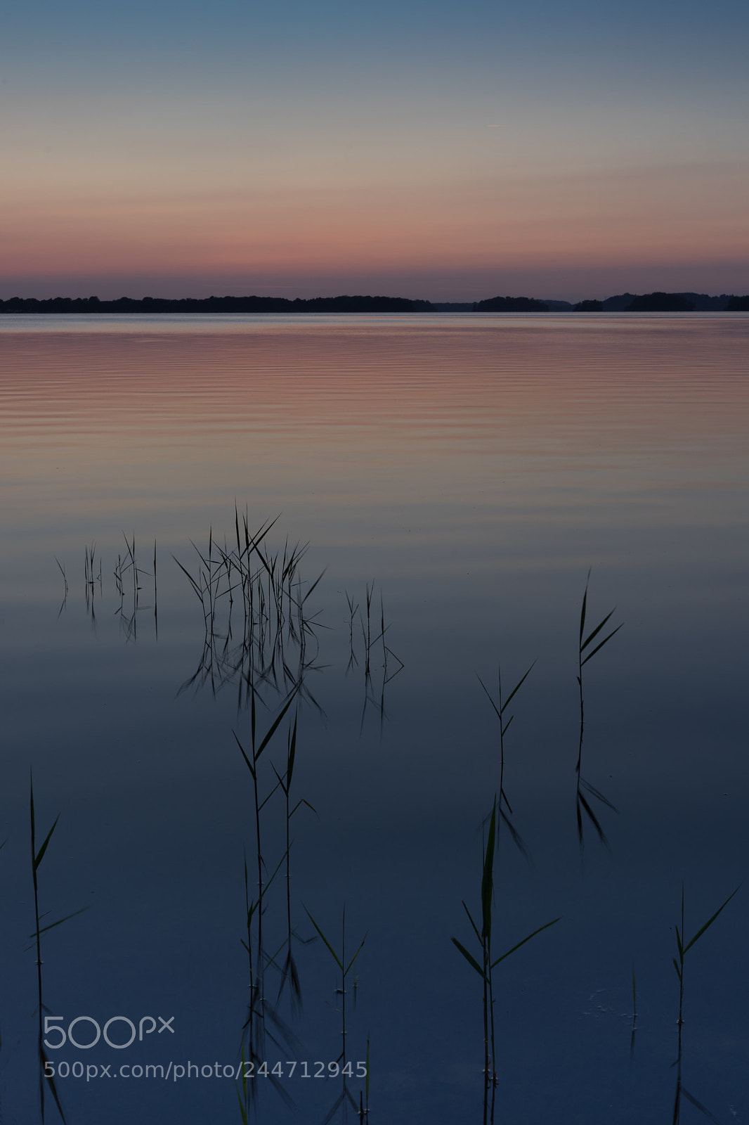Sony a7 II sample photo. [reflexion] photography