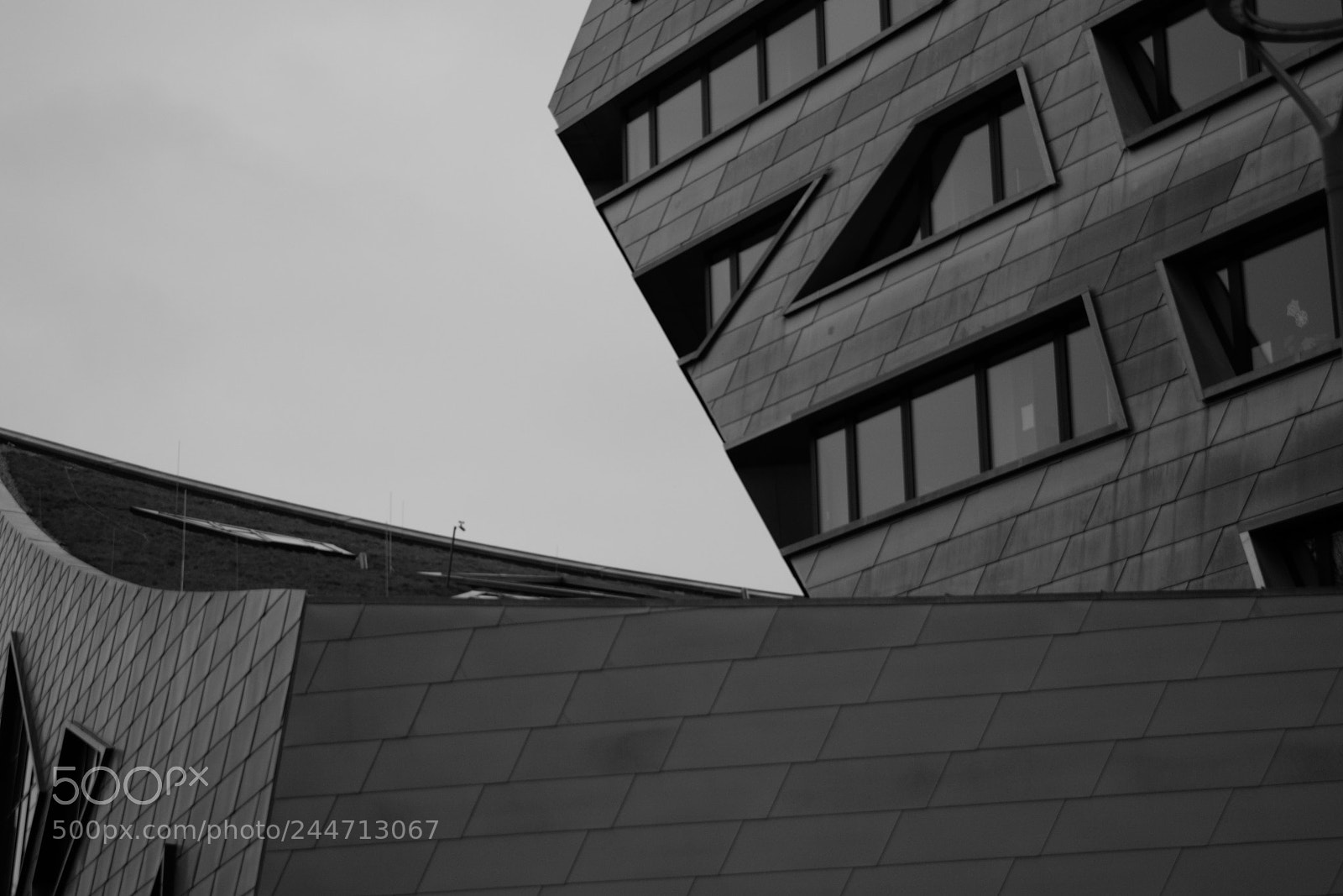 Nikon D3400 sample photo. Leuphana universit t l photography